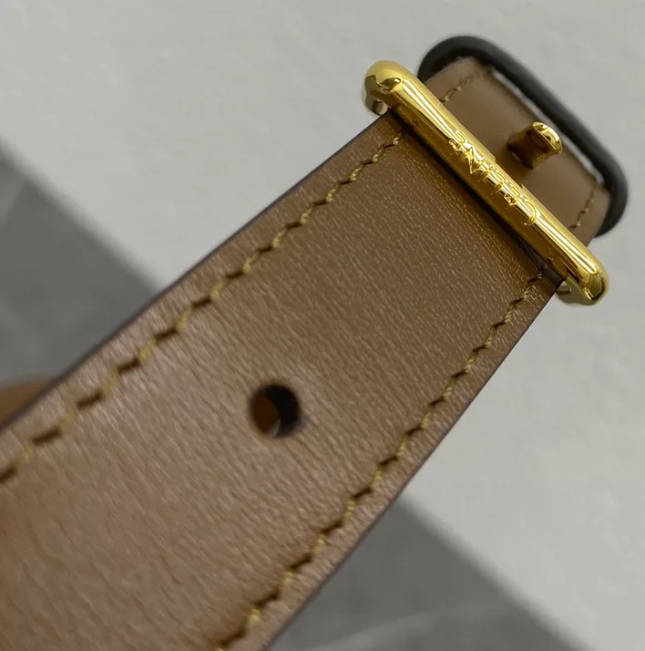 Классические Сумки Женские Celine 18141586