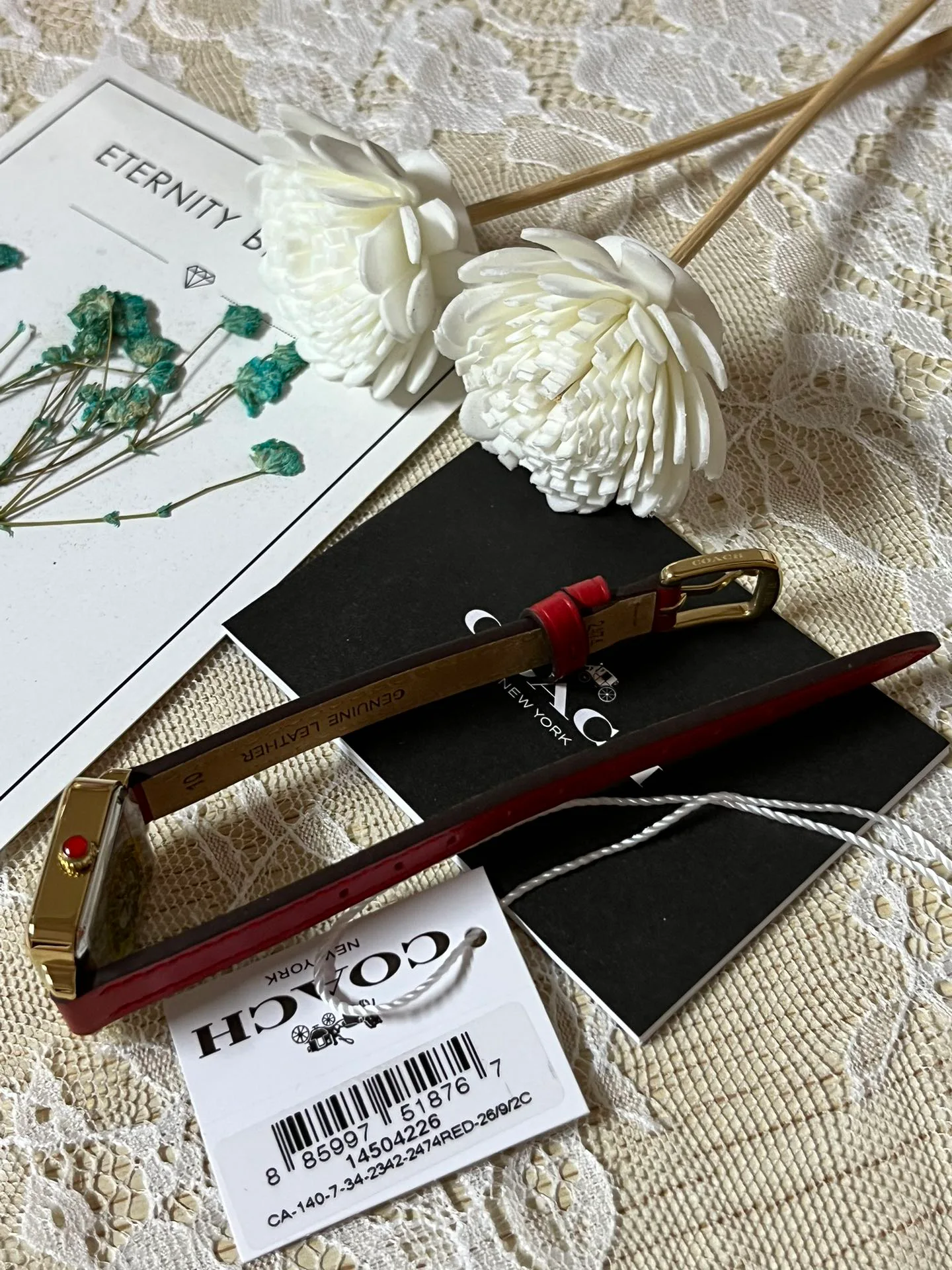 Часы Женские Coach 1880656