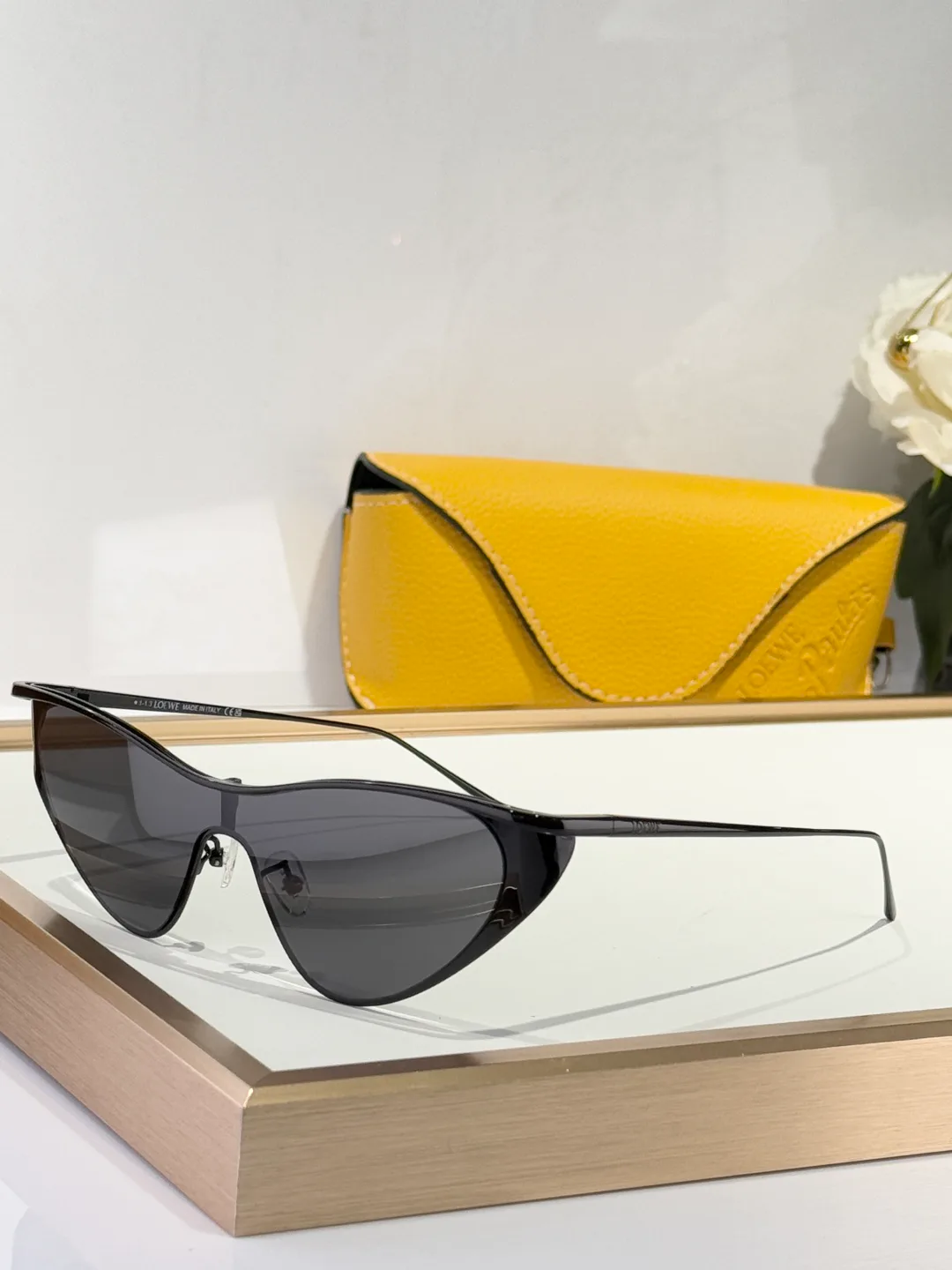 Очки Loewe 10609