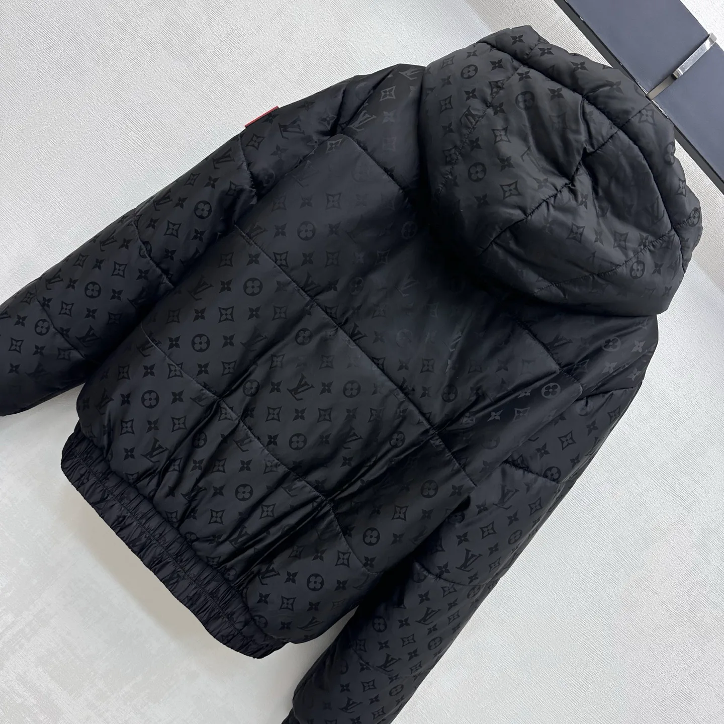 Куртки И Пуховики Женские Louis Vuitton 19167812