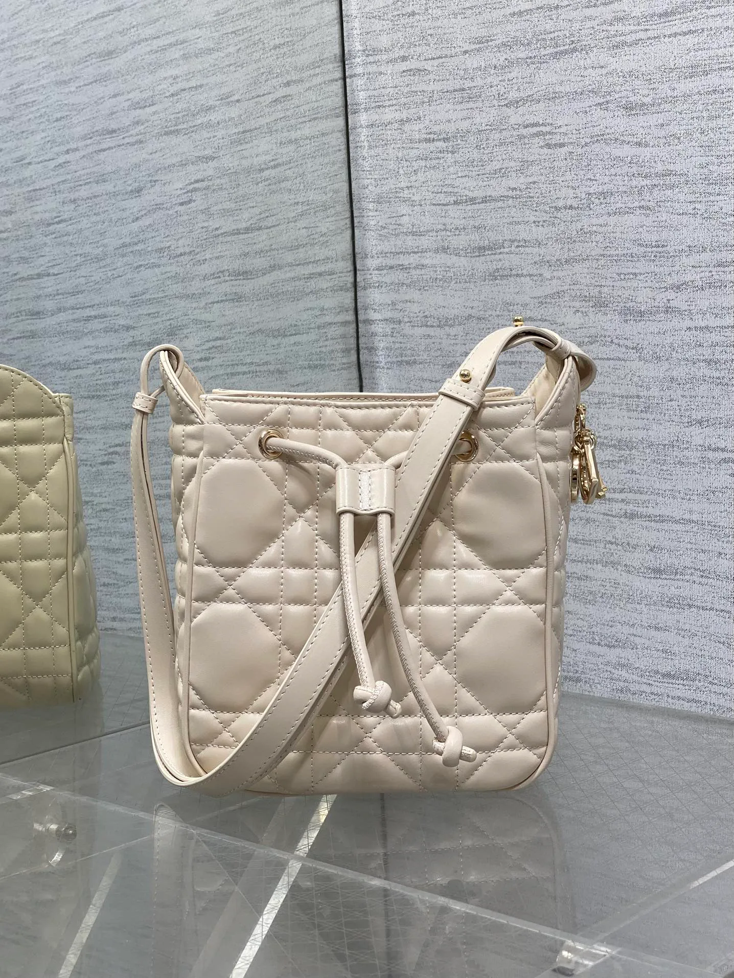 Сумки На Ремне Женские Celine 4570384
