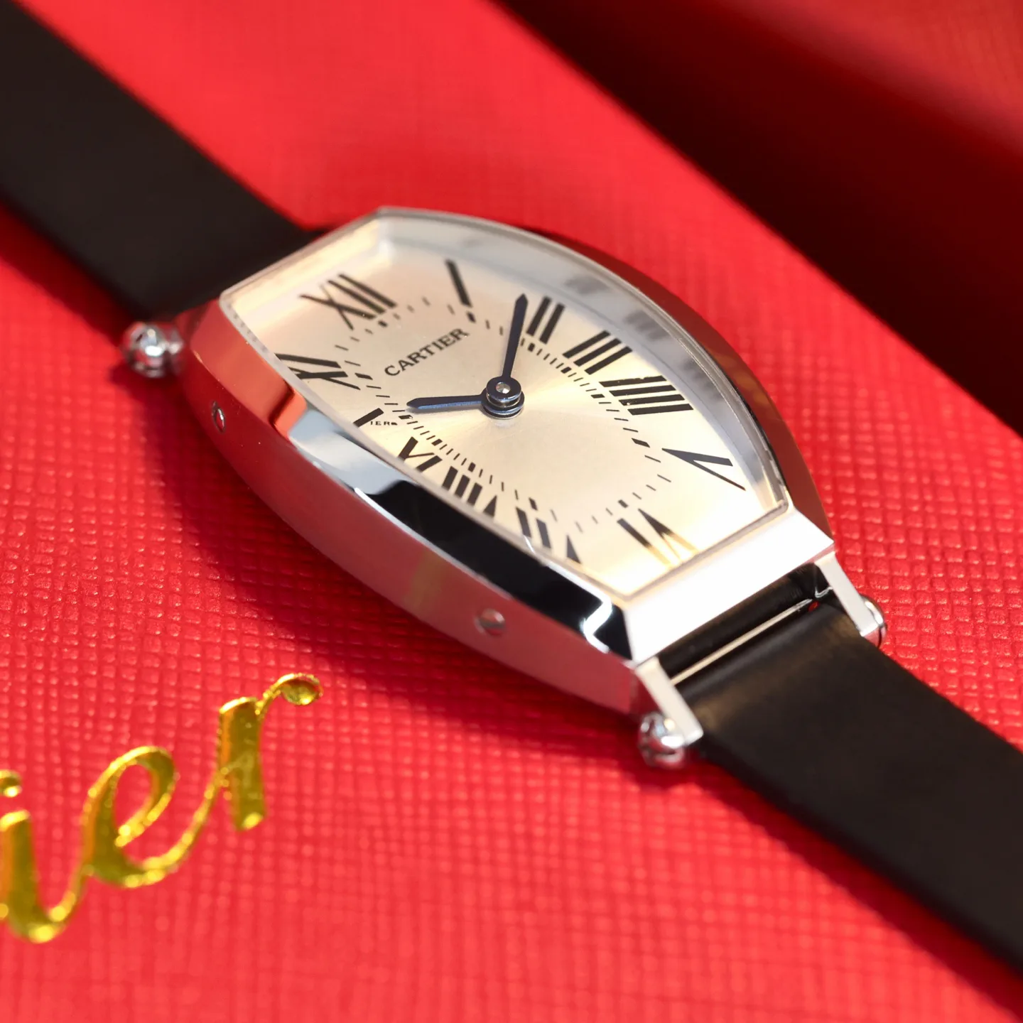 Часы Женские Cartier 11696037
