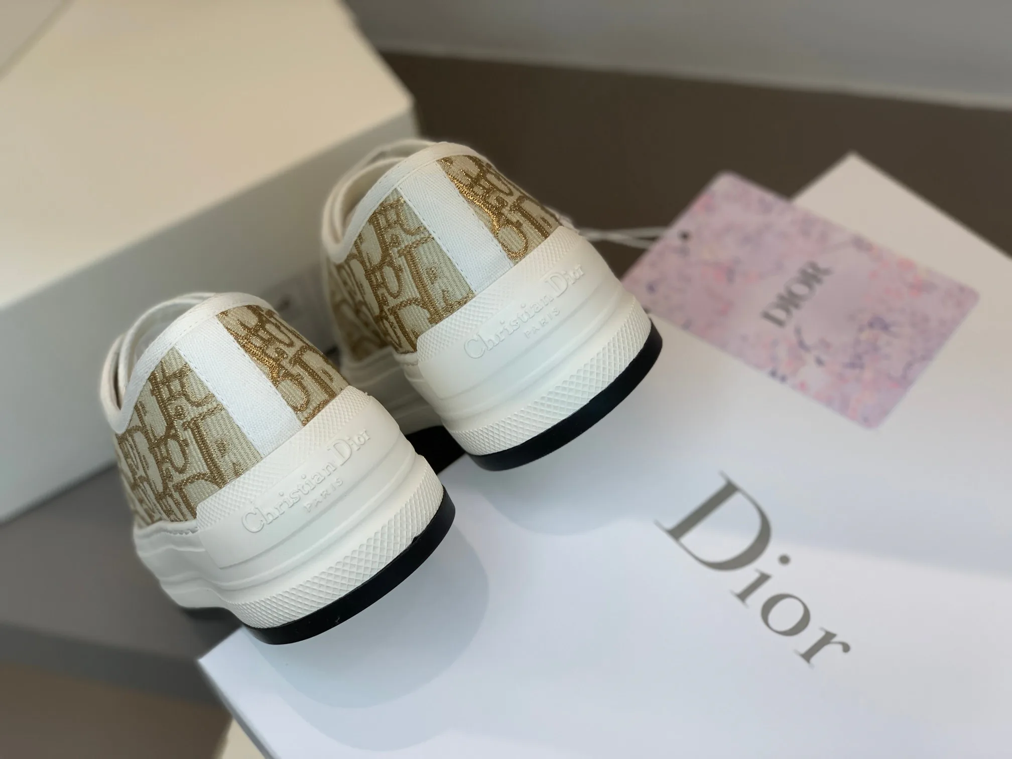 Кроссовки Женские Christian Dior 19515396