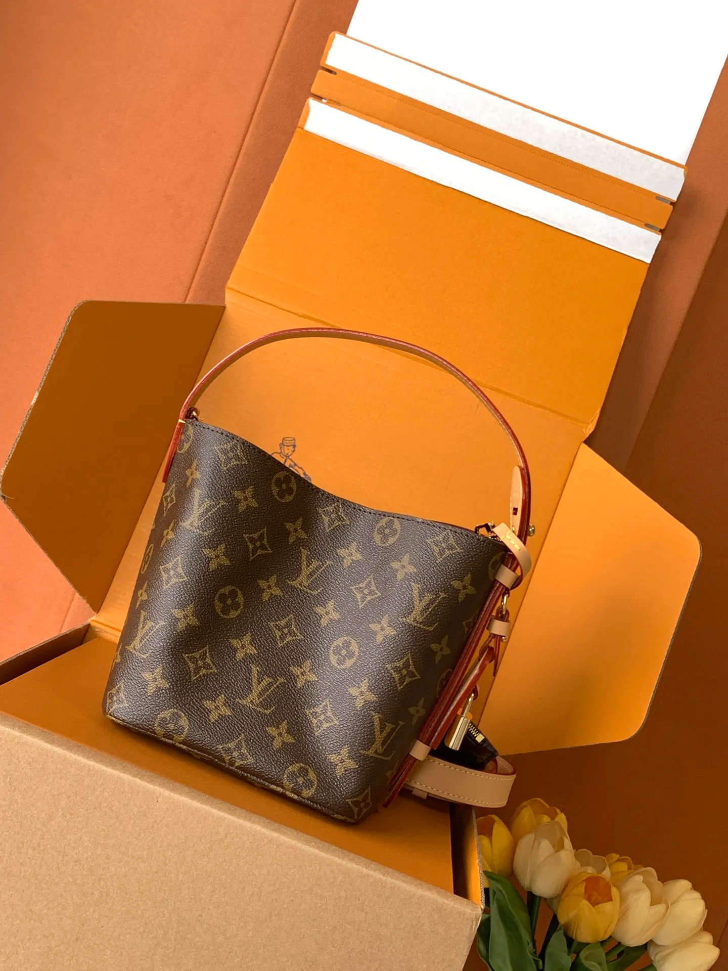 Классические Сумки Женские Louis Vuitton 49200