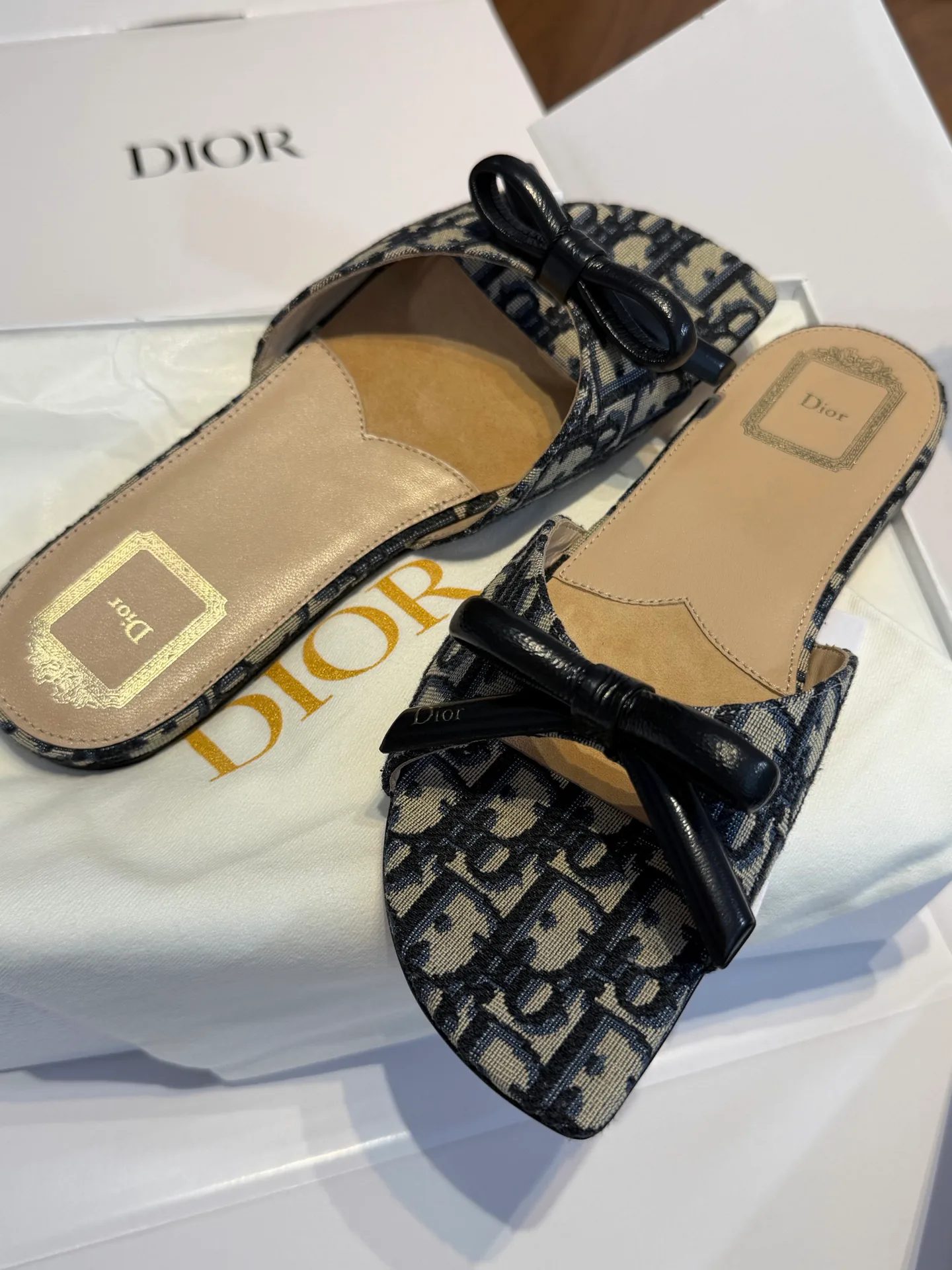 Шлепанцы Женские Christian Dior 15263714