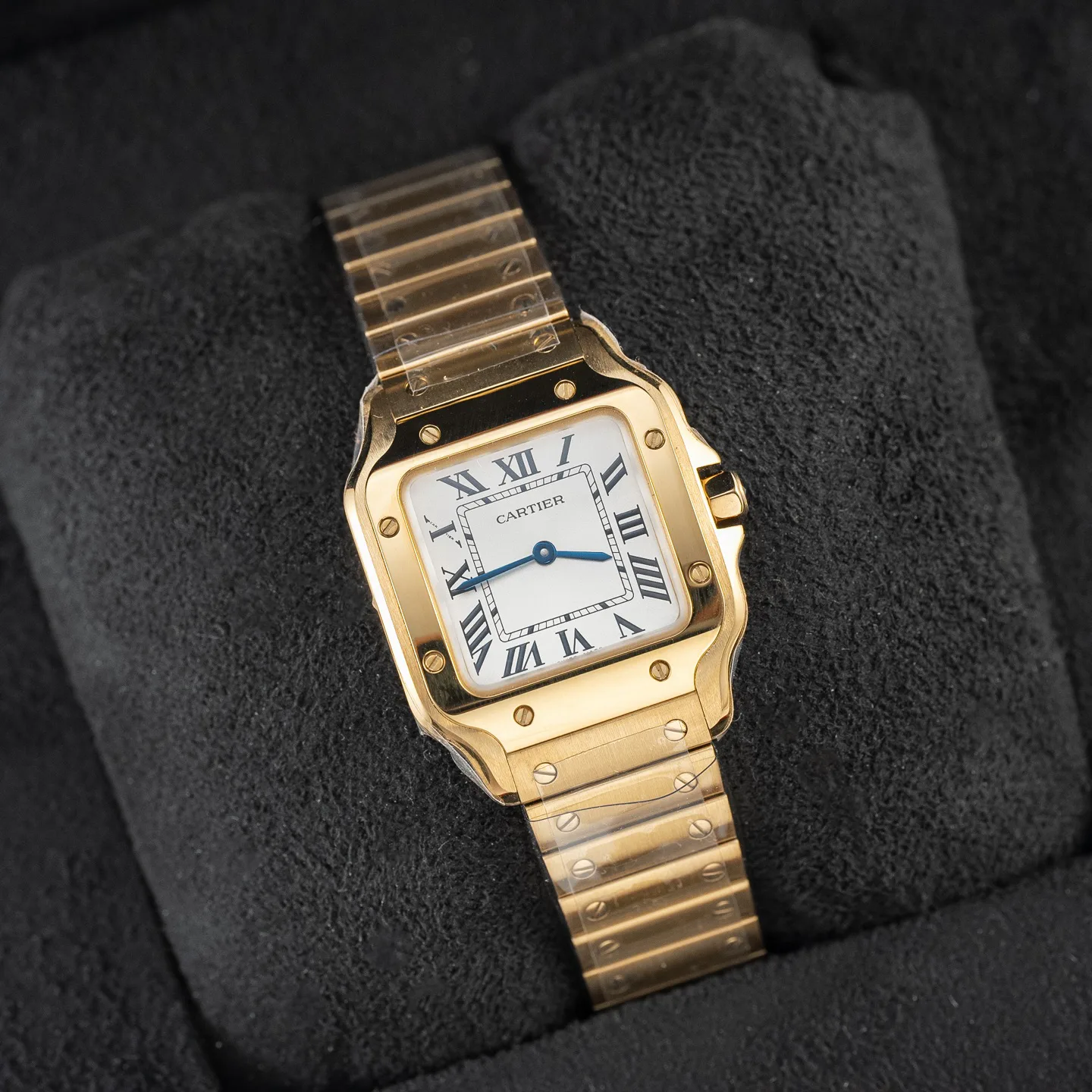 Часы Женские Cartier 9892601