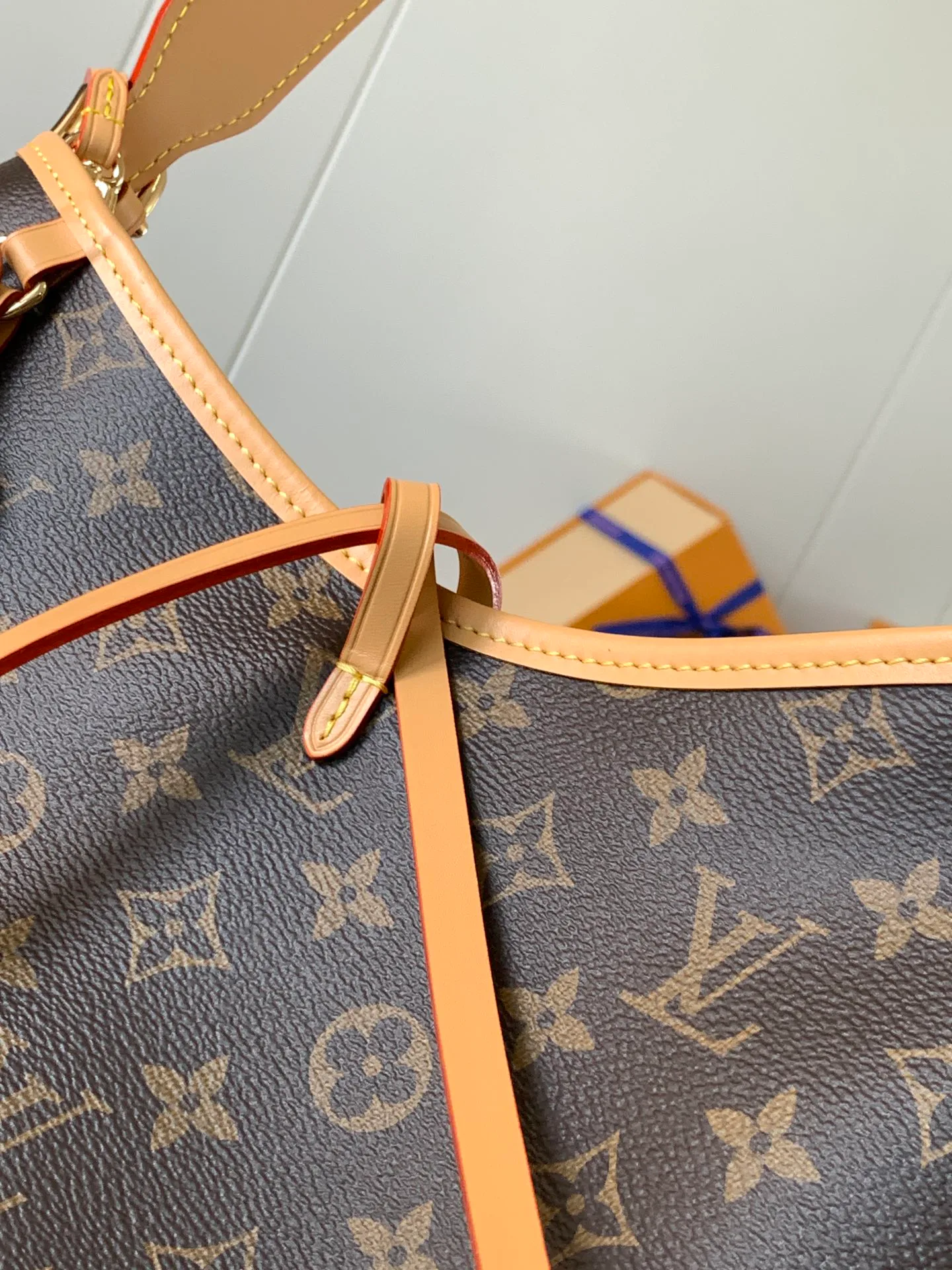Классические Сумки Женские Louis Vuitton 11394877