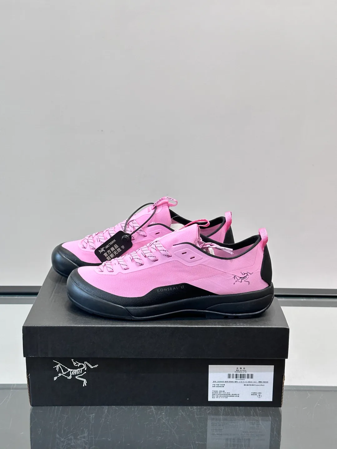 Кроссовки Женские Arcteryx 16883822