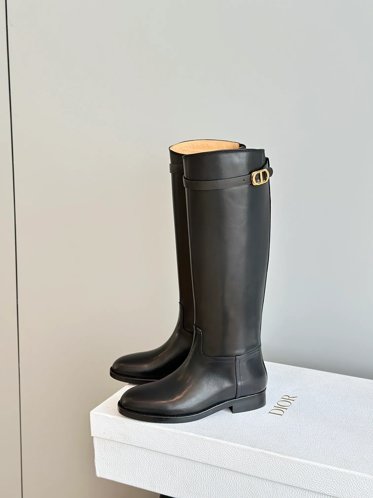 Сапоги Женские Christian Dior 18243654