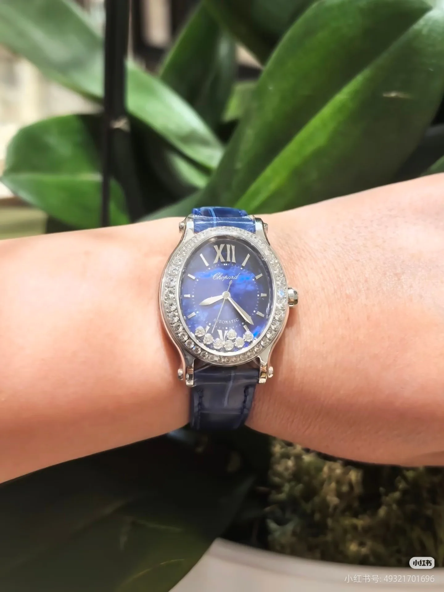 Часы Женские Chopard 17540079