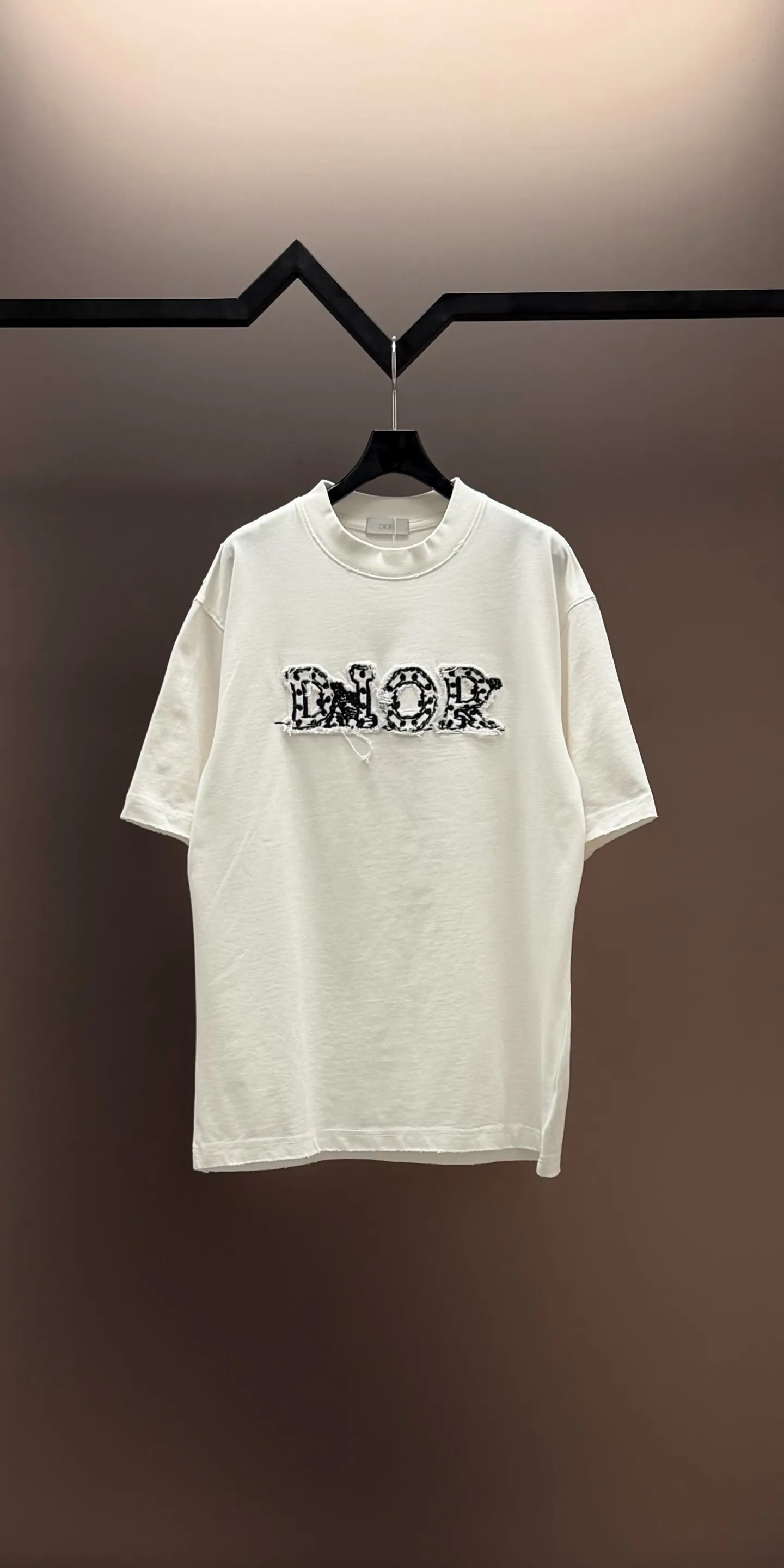 Футболки Мужские Christian Dior 10163441