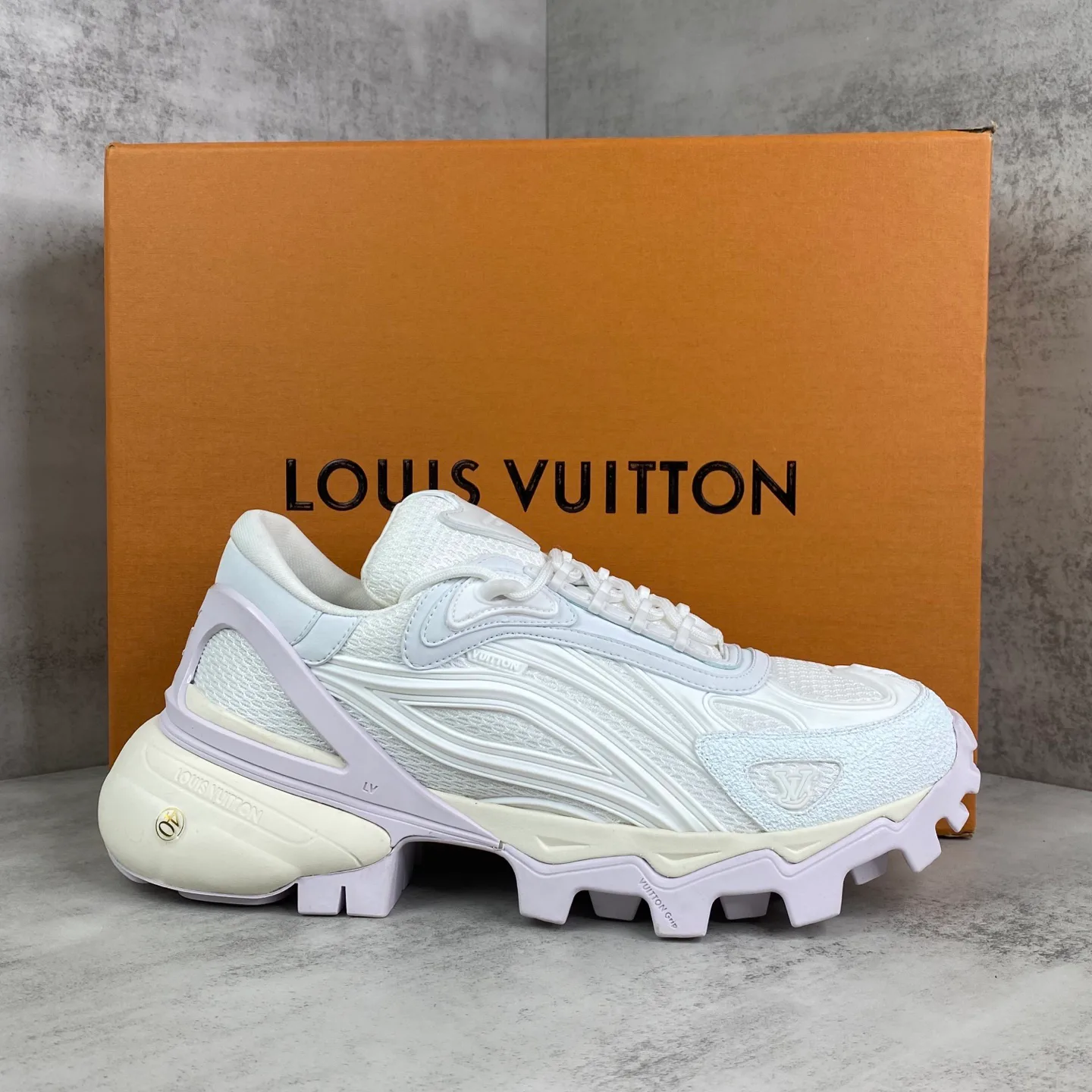 Кроссовки Мужские Louis Vuitton 978818