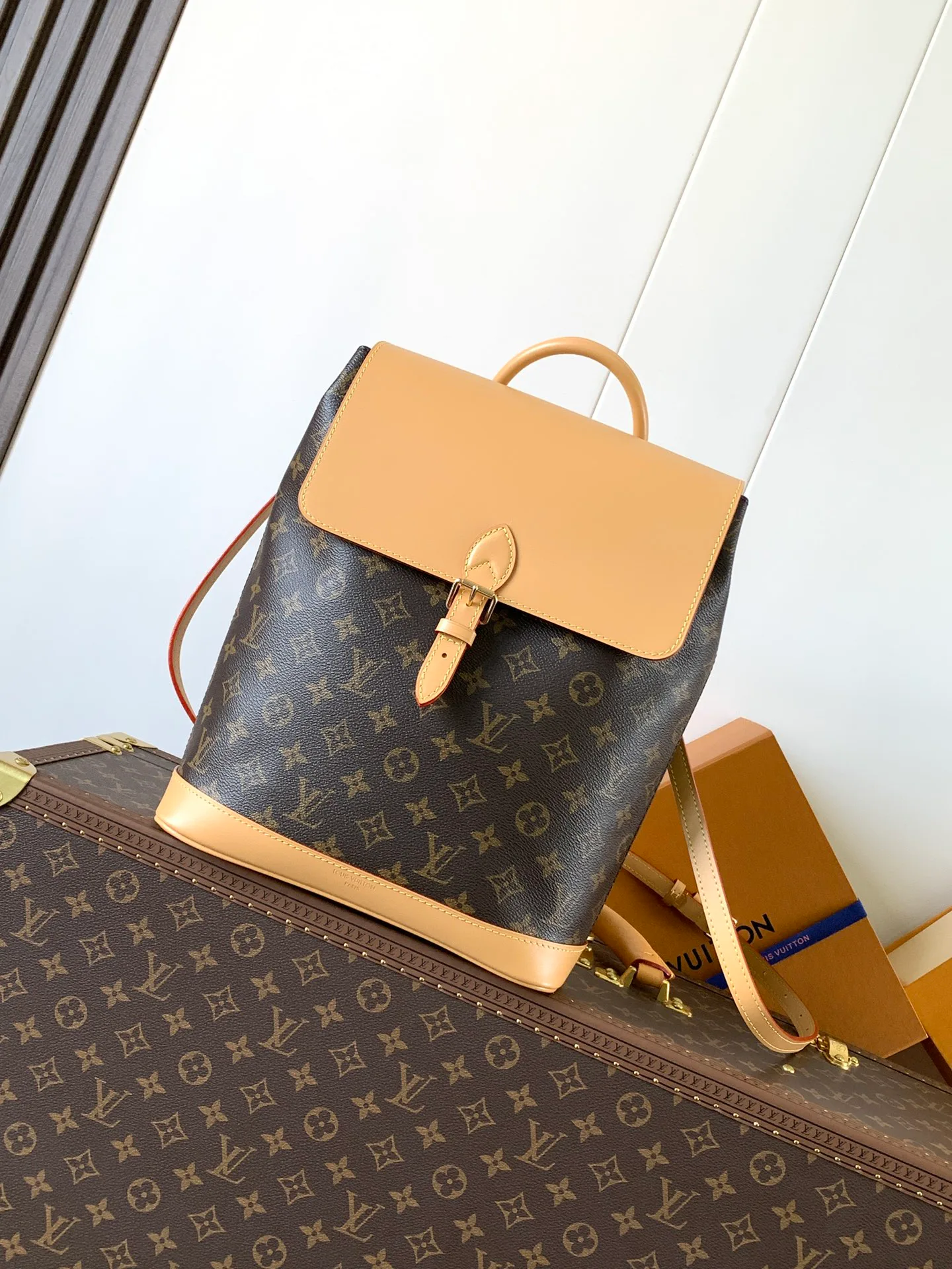 Рюкзаки Женские Louis Vuitton 13435249