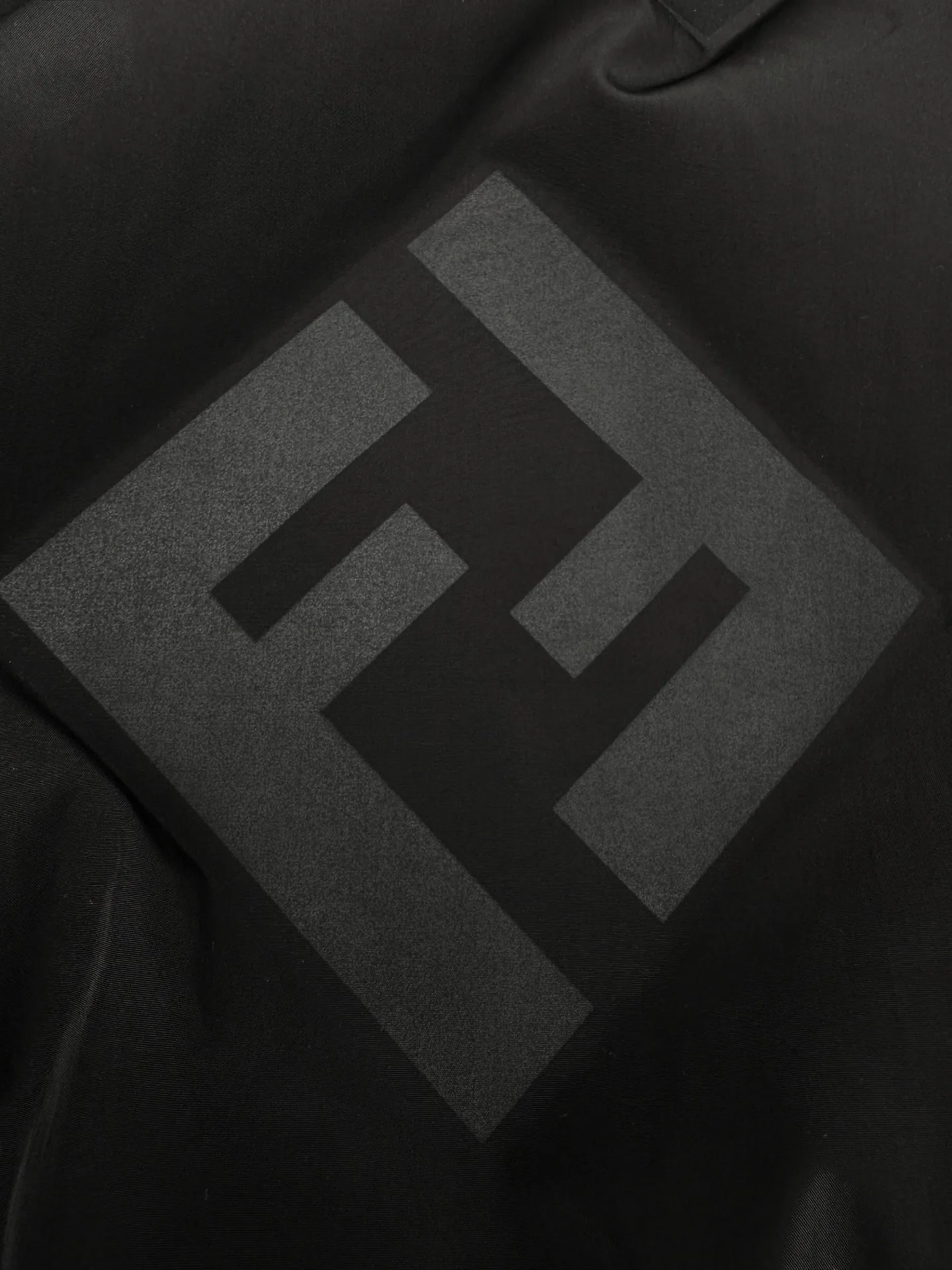 Куртки И Пуховики Мужские Fendi 283366