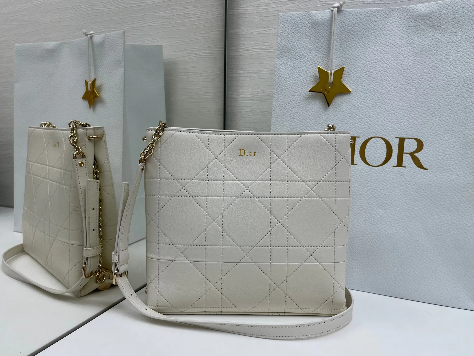 Классические Сумки Женские Christian Dior 13349530