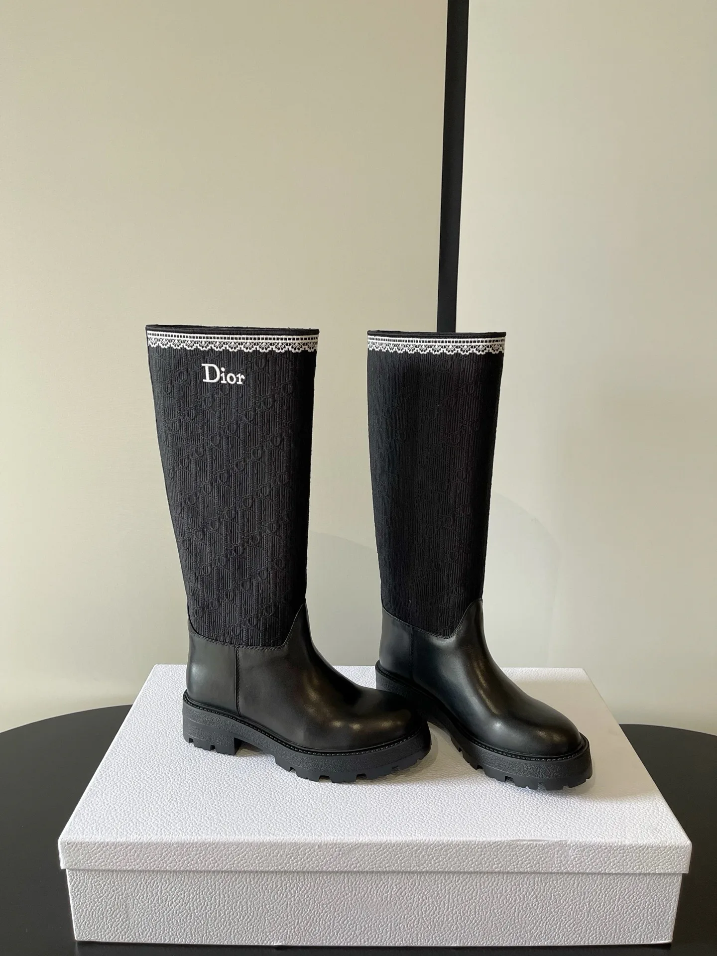 Сапоги Женские Christian Dior 18234948