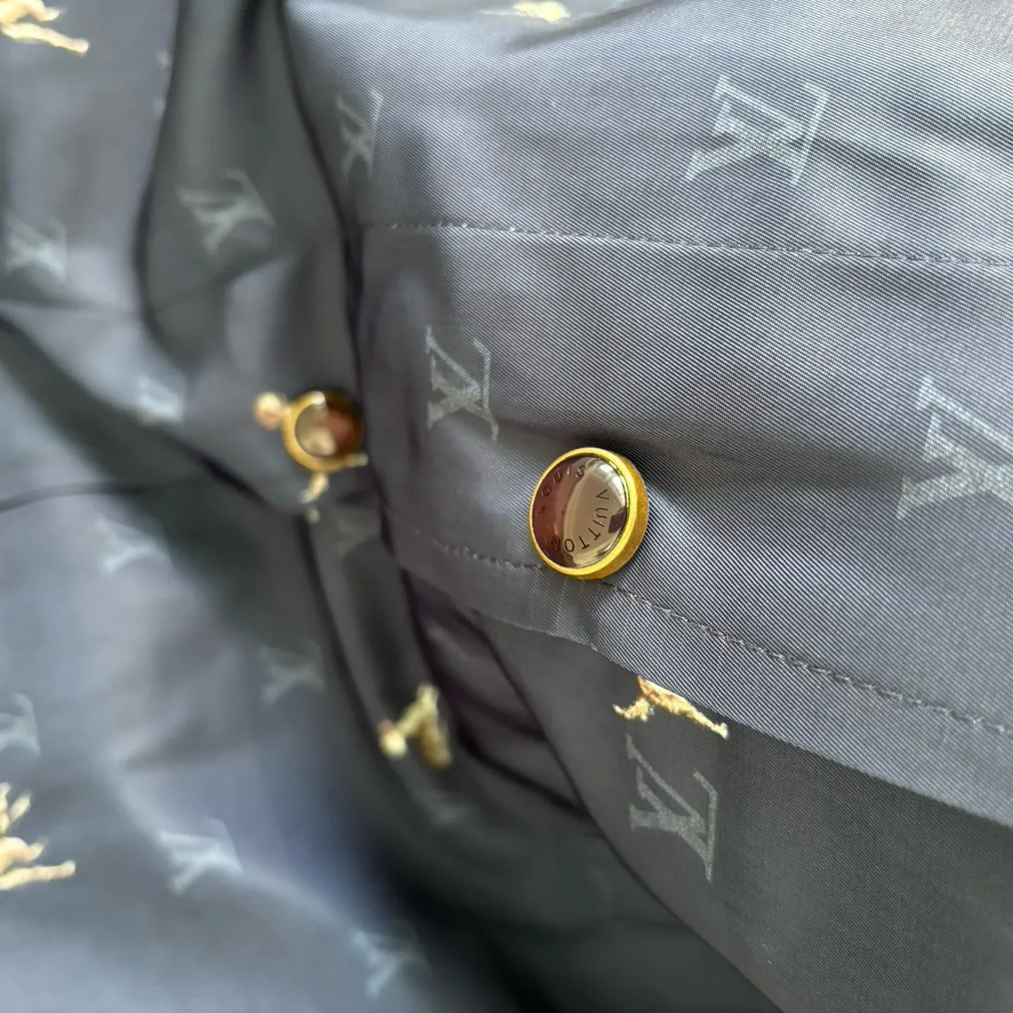 Куртки И Пуховики Мужские Louis Vuitton 569105