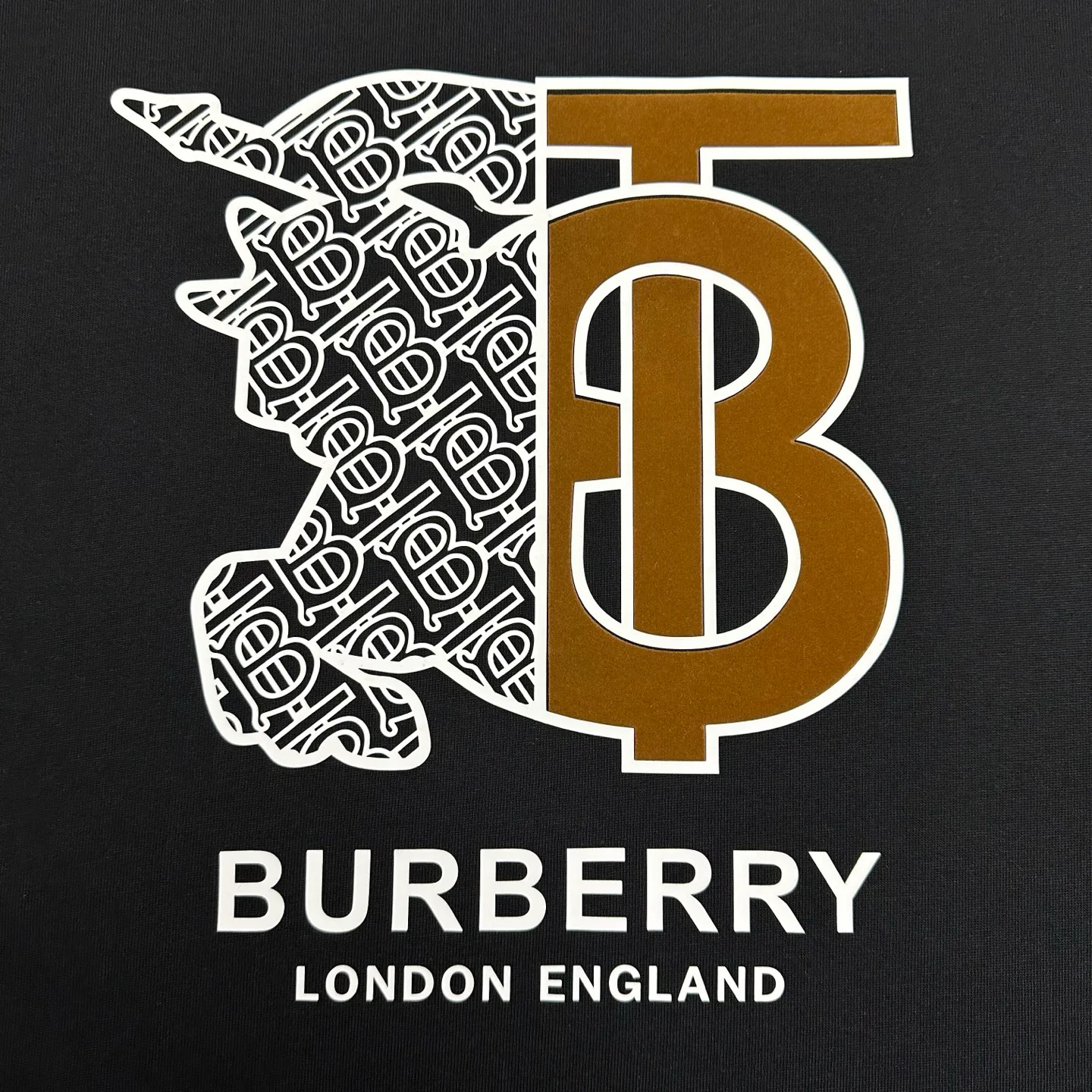 Футболки Мужские Burberry 1452307