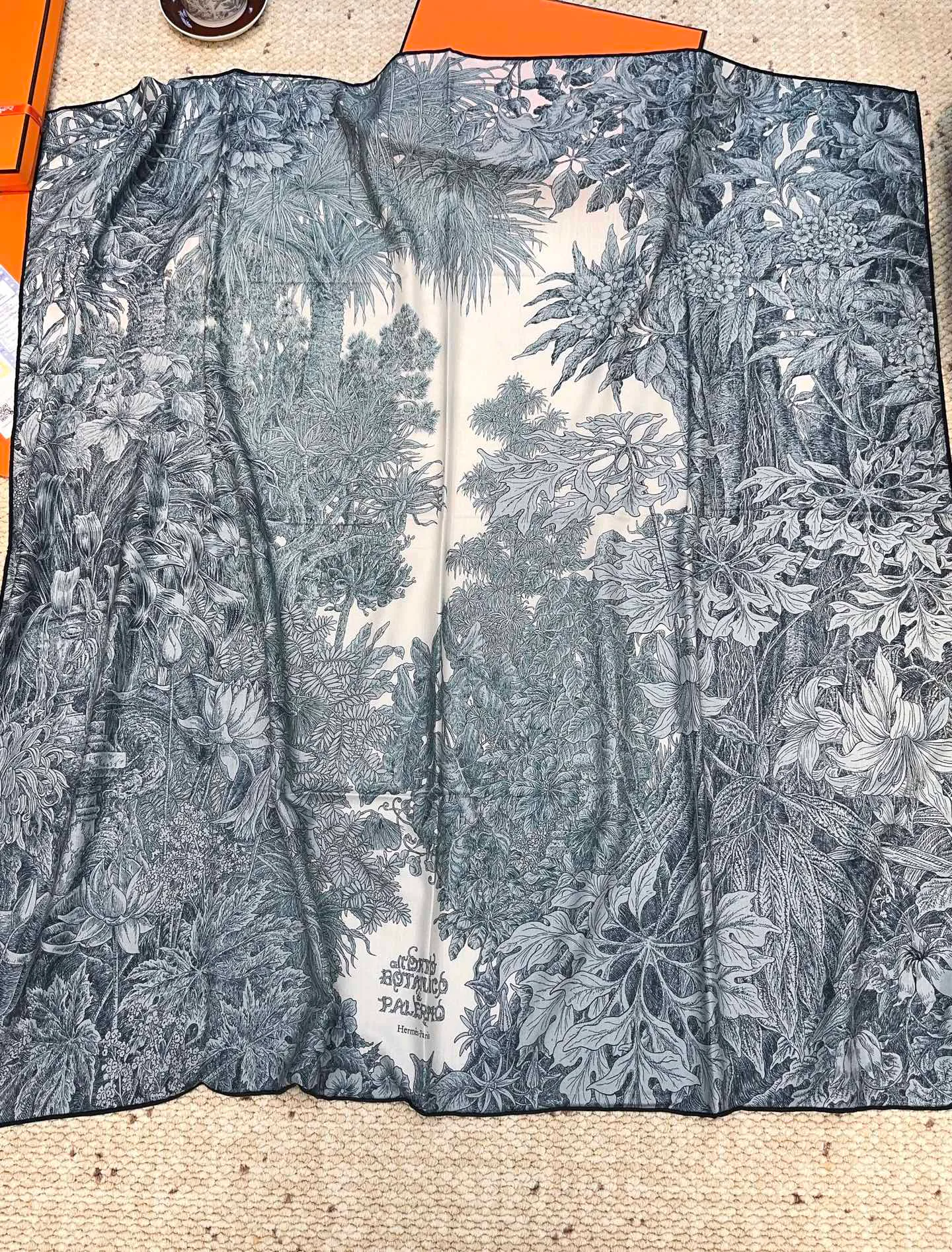 Шарфы Hermes 62306