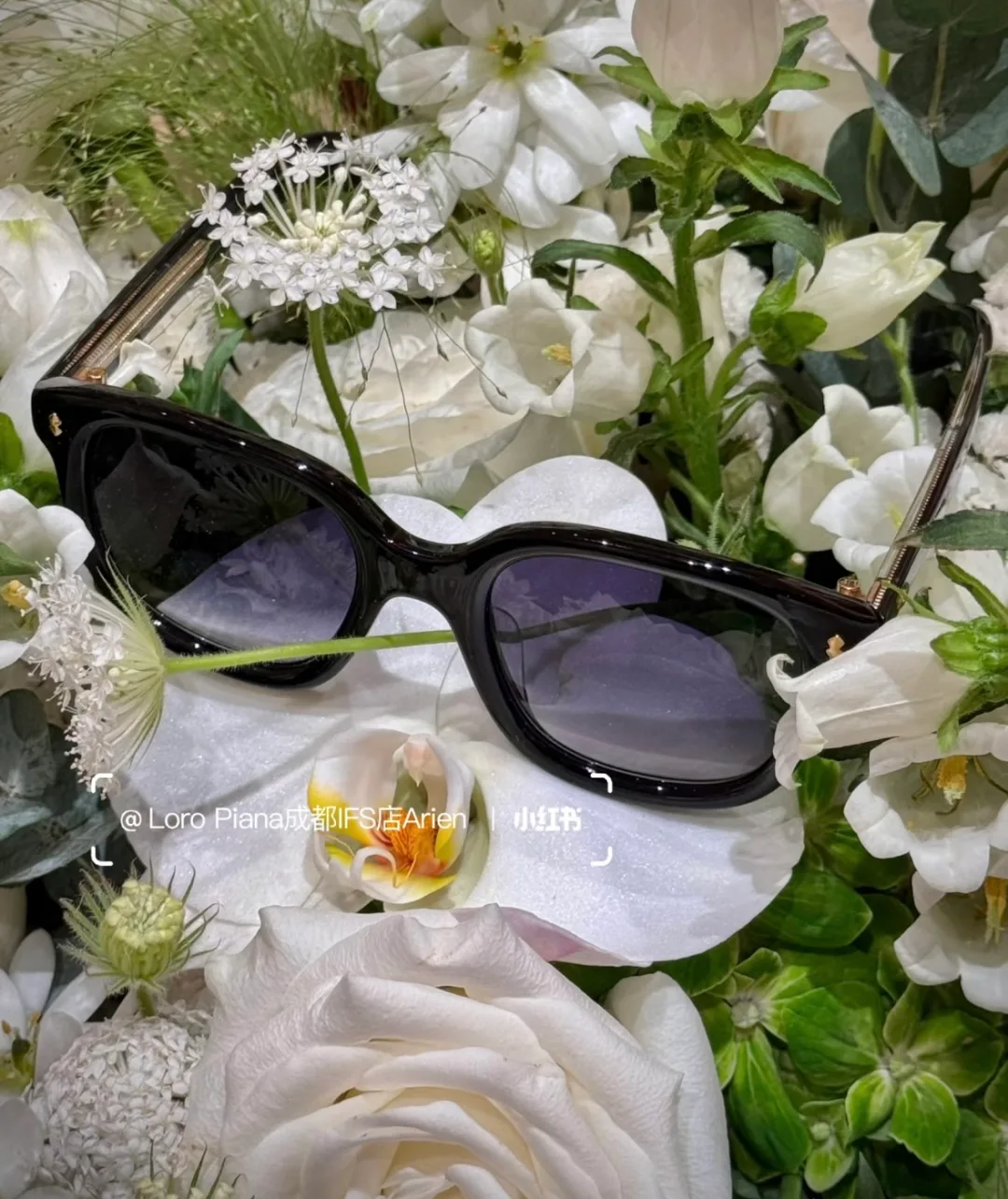 Очки Loro Piana 109383