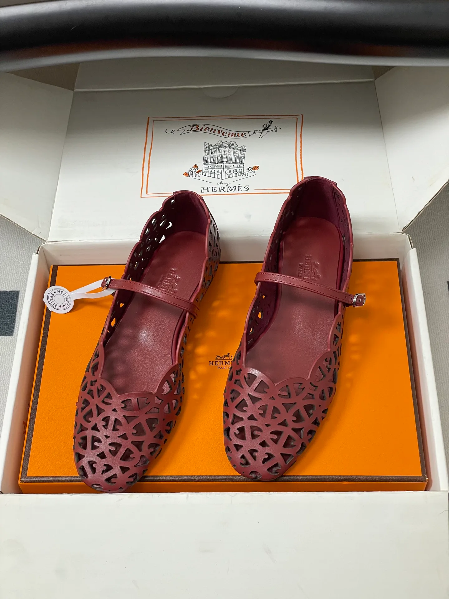 Балетки Женские Hermes 17558038