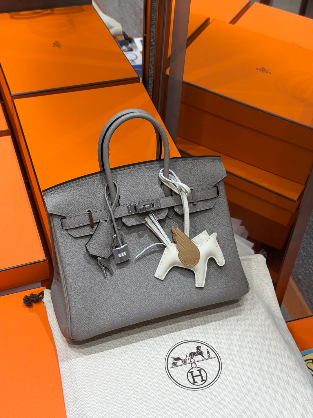 Классические Сумки Женские Hermes 11475335