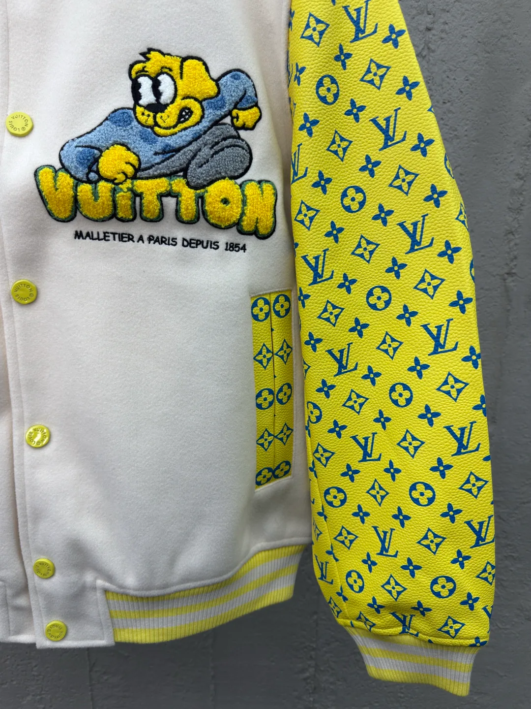 Куртки И Пуховики Женские Louis Vuitton 31384