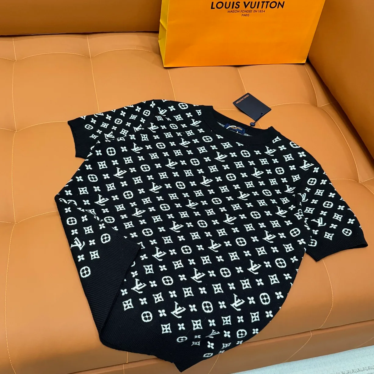 Футболки Женские Louis Vuitton 1163061