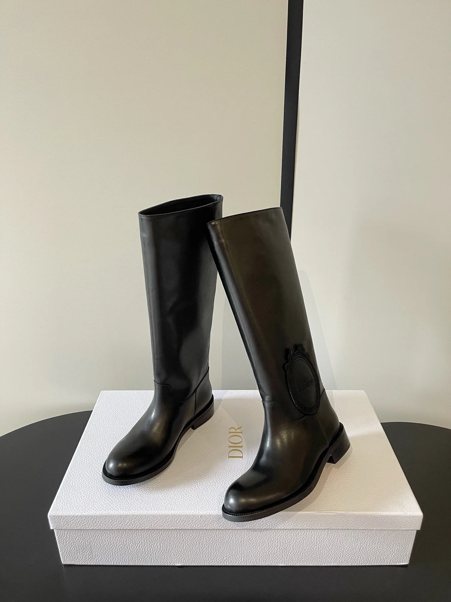 Сапоги Женские Christian Dior 18260388