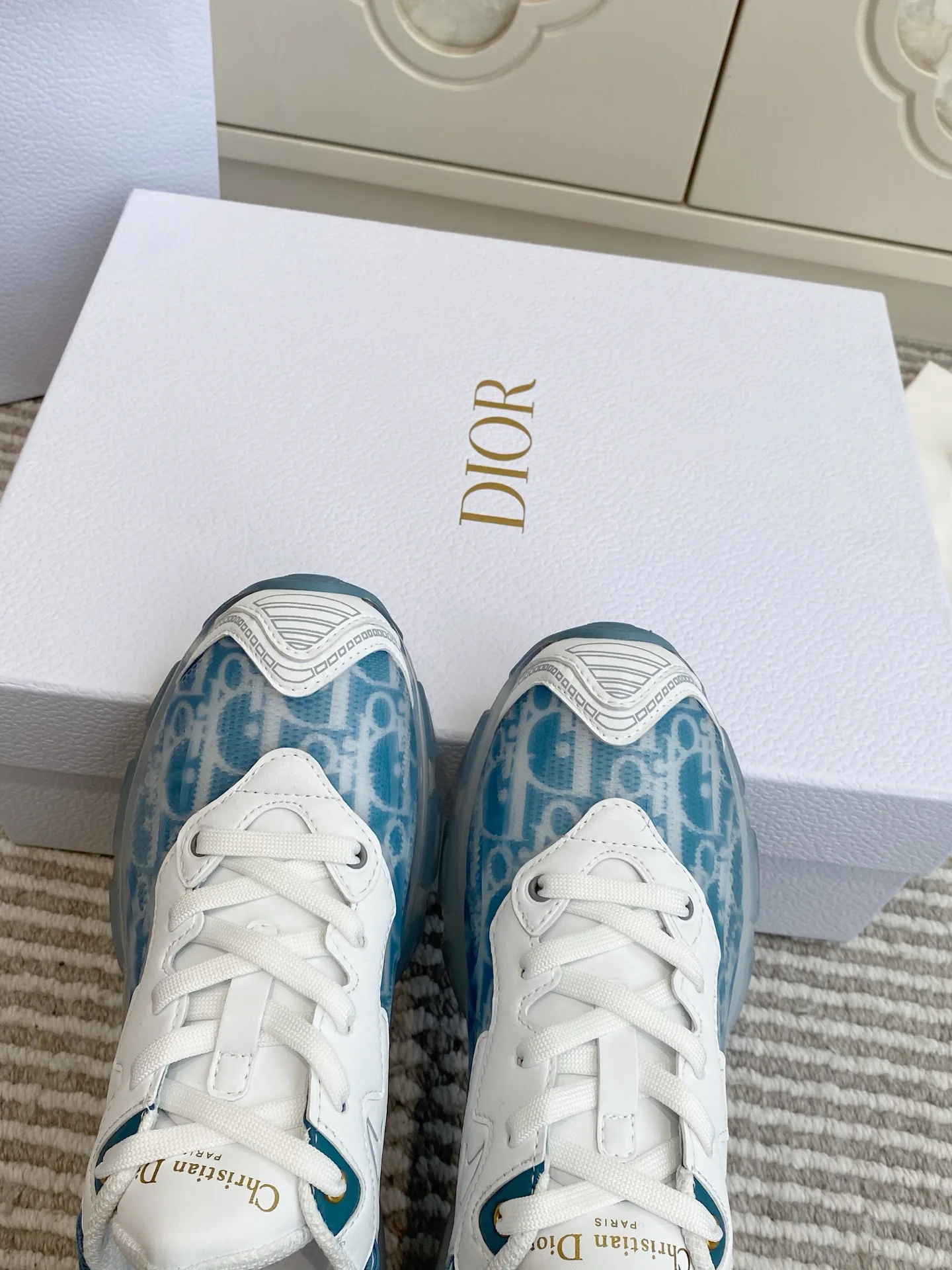 Кроссовки Женские Christian Dior 12779880