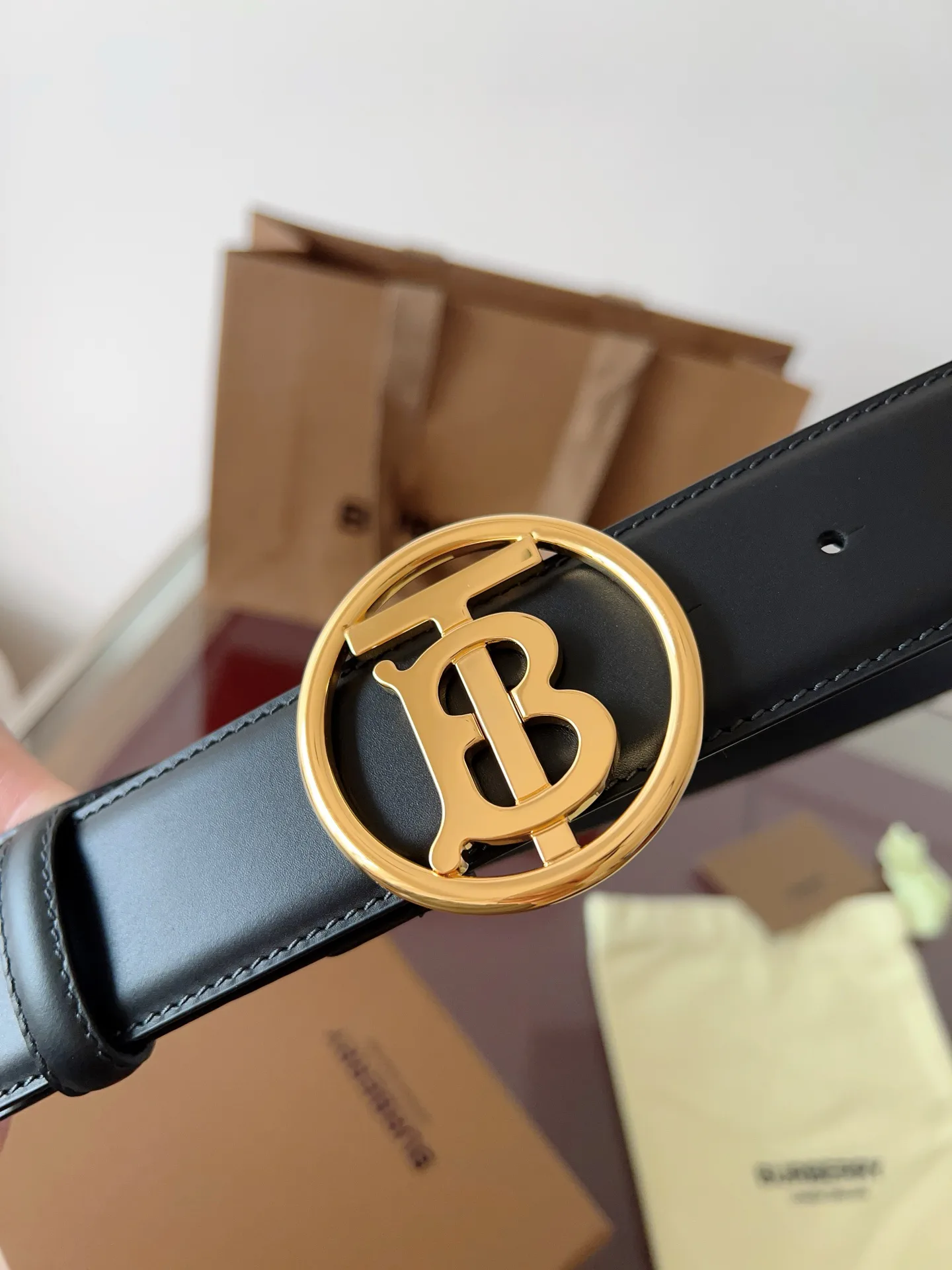 Поясные Сумки Мужские Burberry 5063823