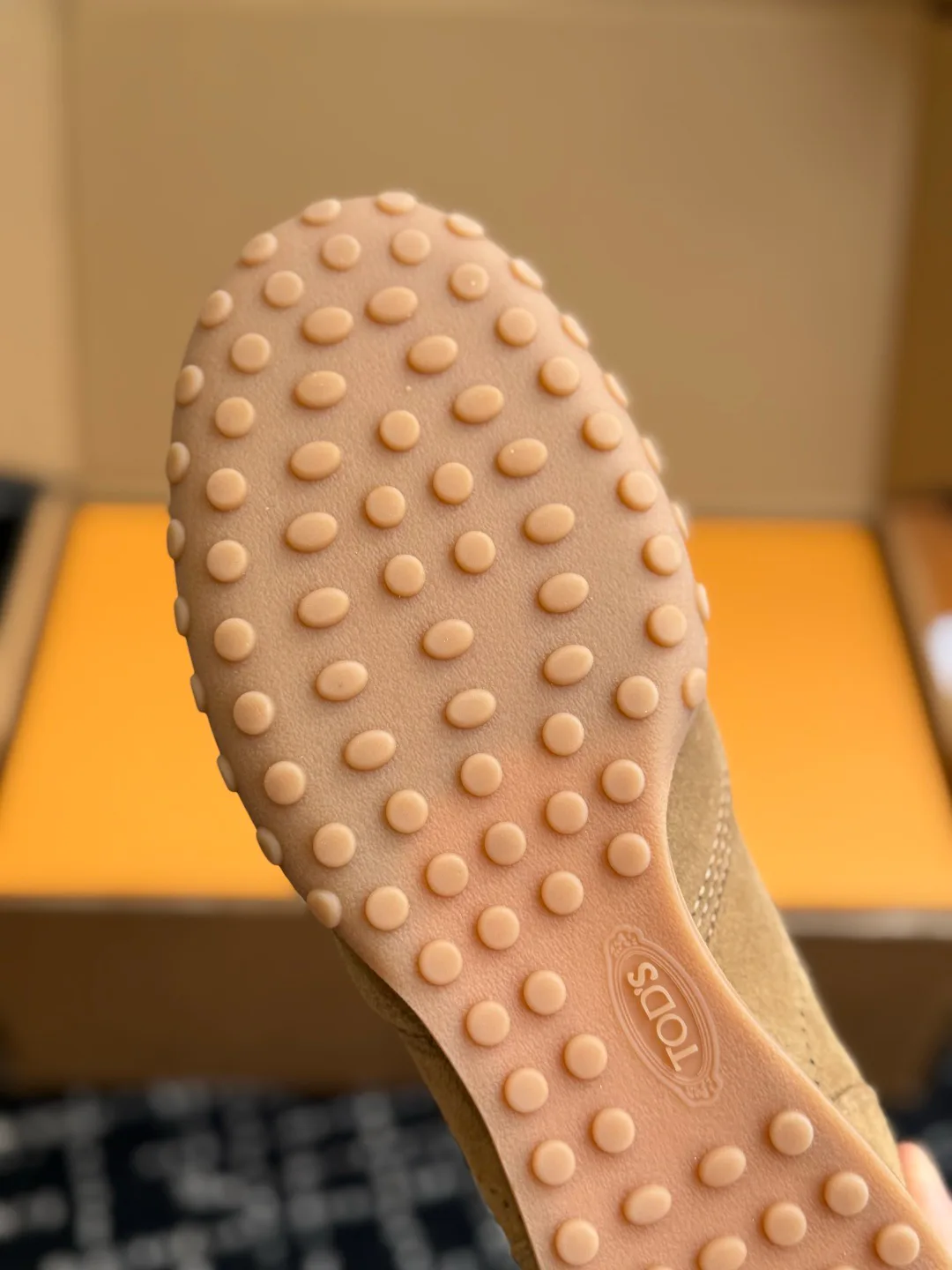 Кроссовки Женские Tod's 18409556