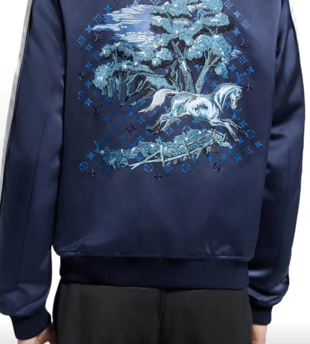 Куртки И Пуховики Мужские Louis Vuitton 3044085