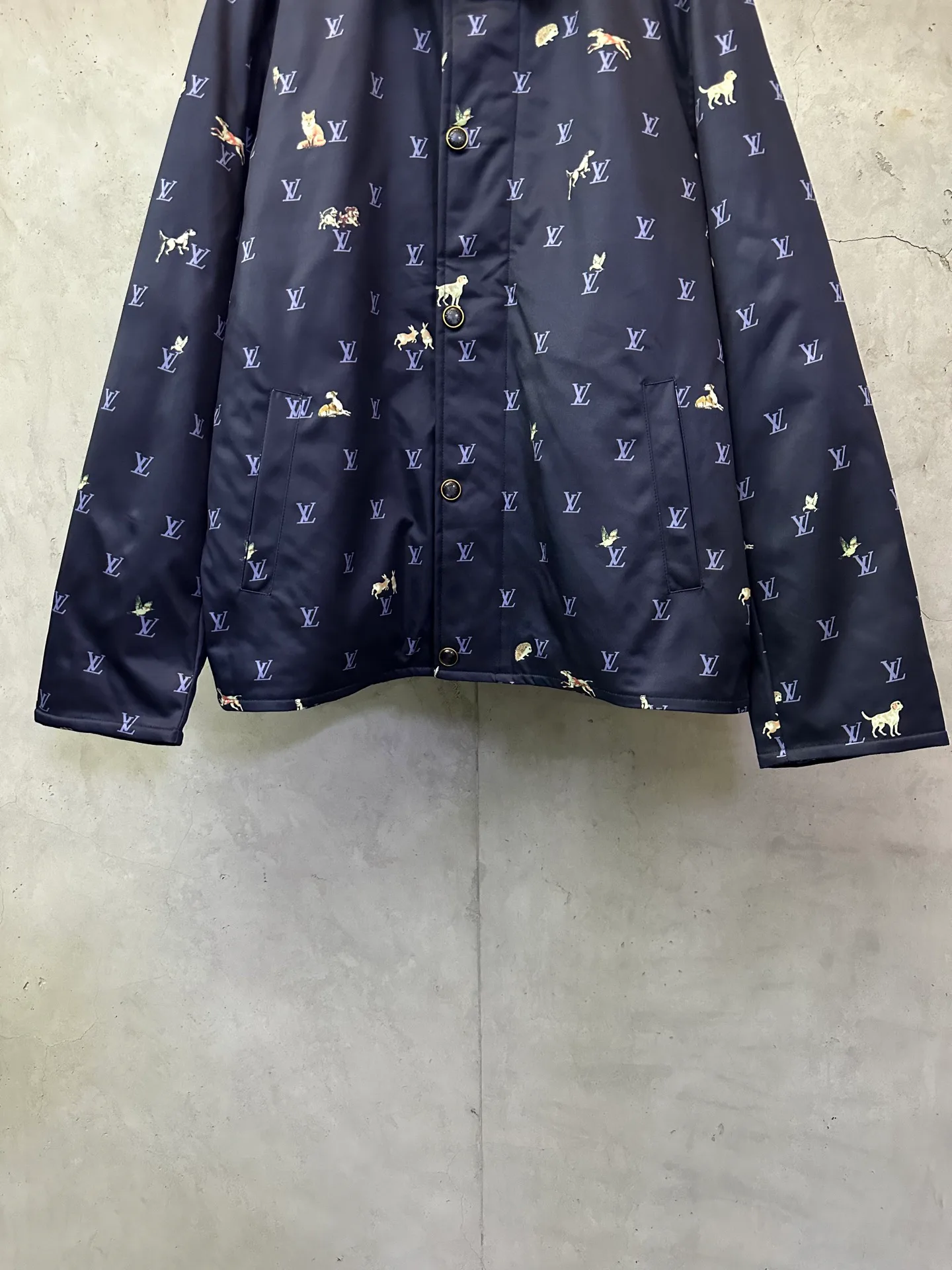 Куртки И Пуховики Мужские Louis Vuitton 350537