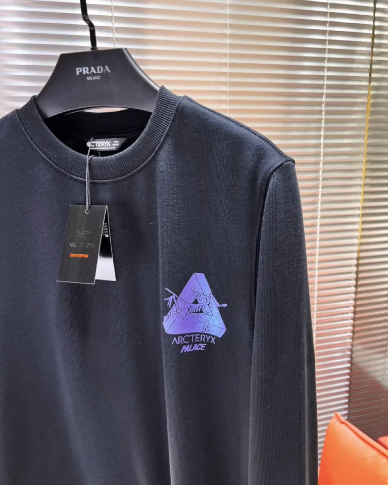 Свитшоты И Худи Мужские Gucci 819049