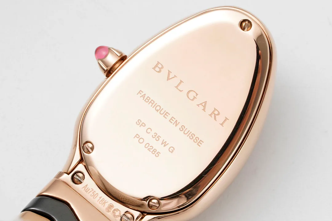 Часы Женские Bvlgari 11696051