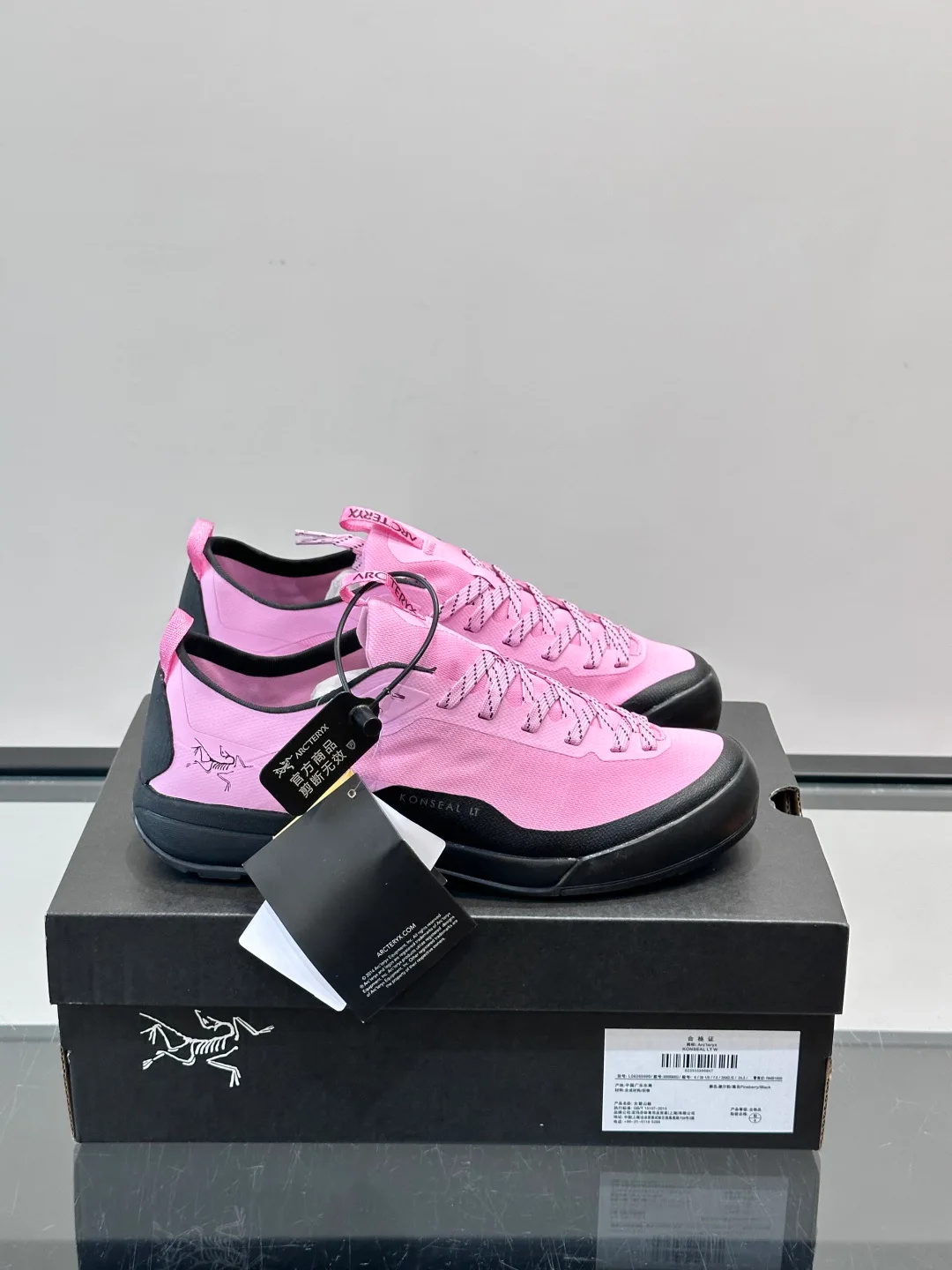 Кроссовки Женские Arcteryx 16883822