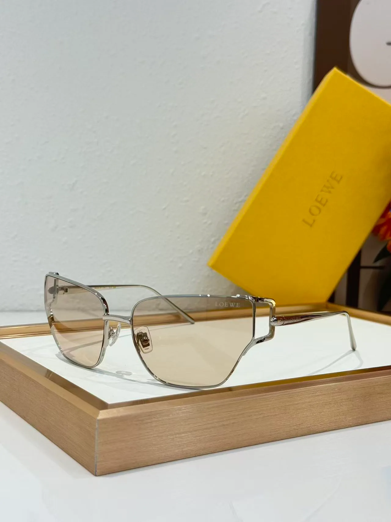 Очки Loewe 18226201