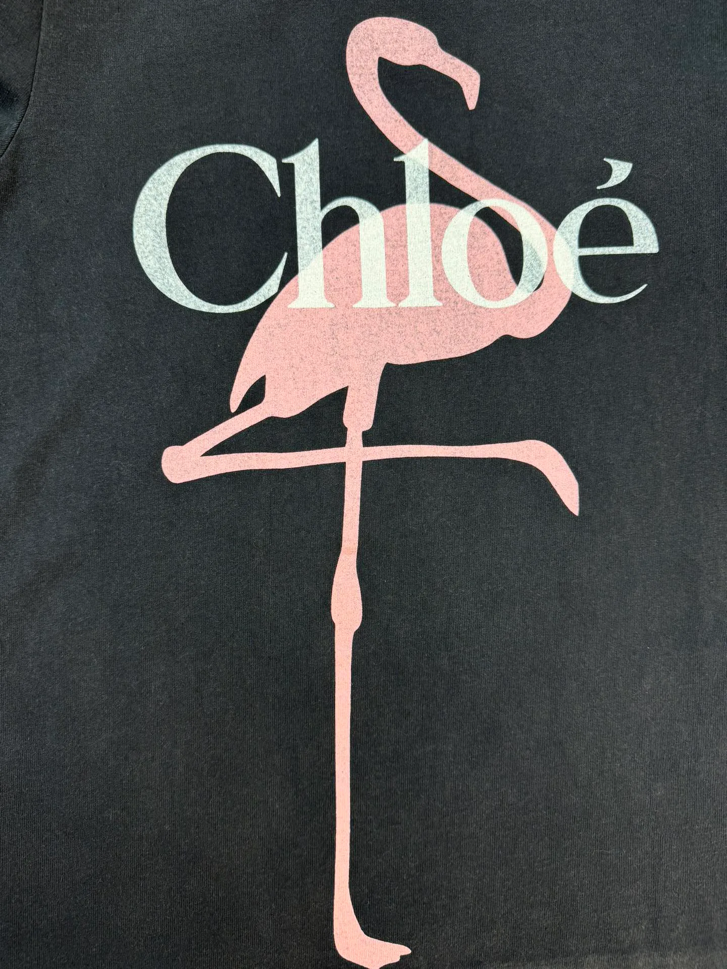 Футболки Женские Chloe 11337938