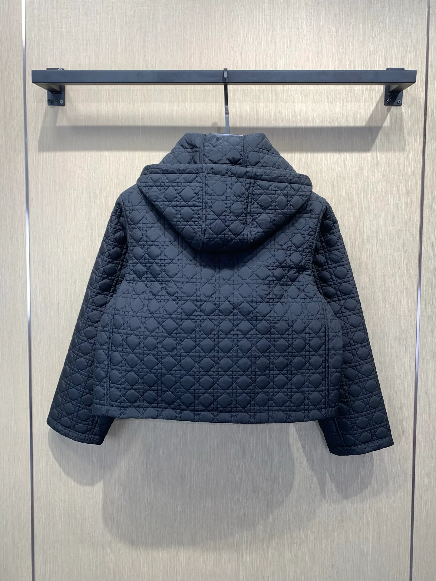 Куртки И Пуховики Женские Christian Dior 18743808