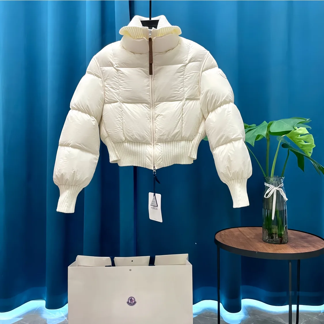 Куртки И Пуховики Женские Moncler 249380