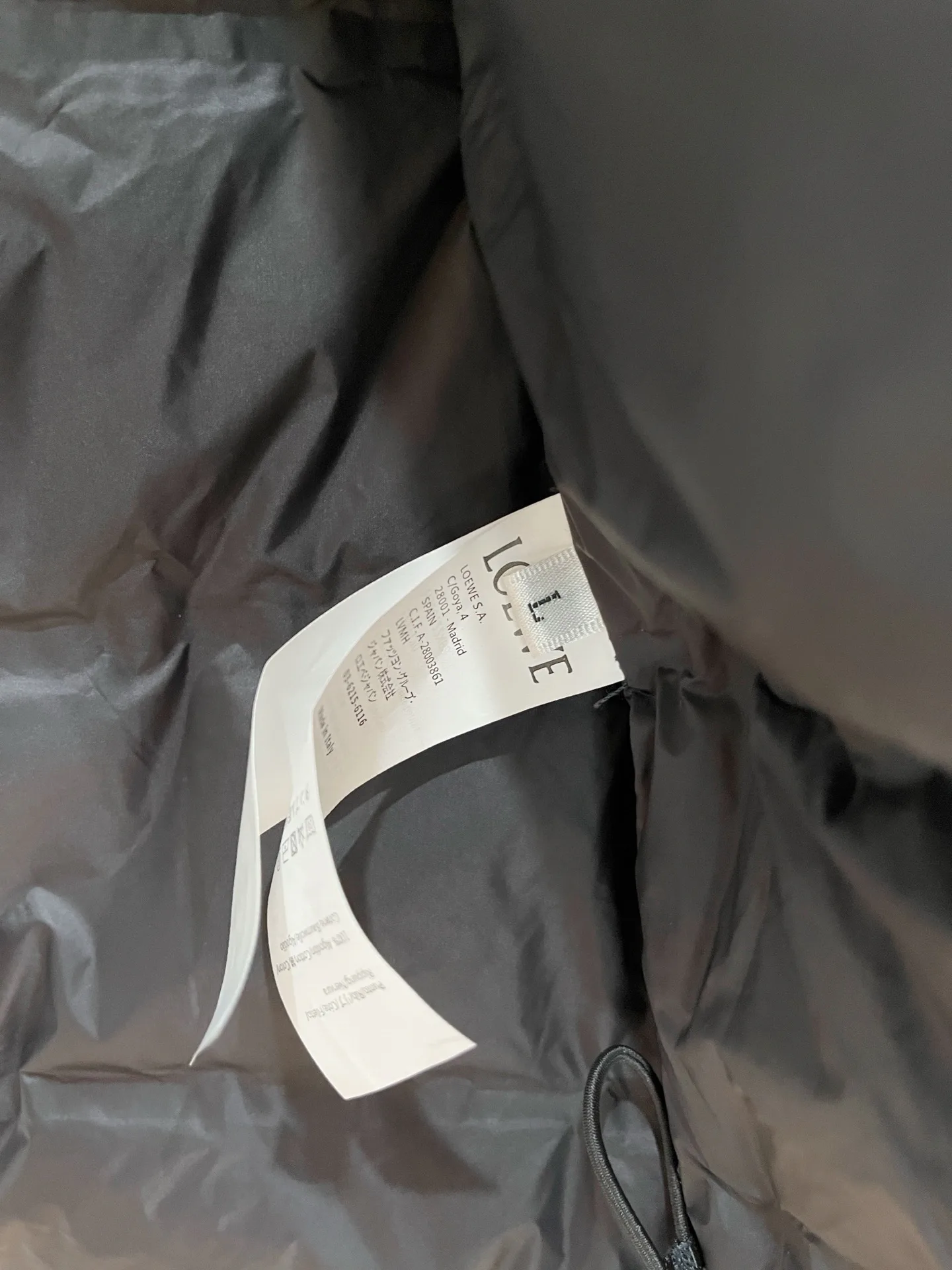 Куртки И Пуховики Мужские Loewe 510138