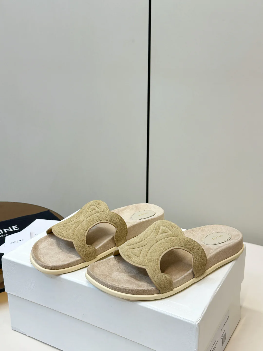 Шлепанцы Женские Celine 11609439