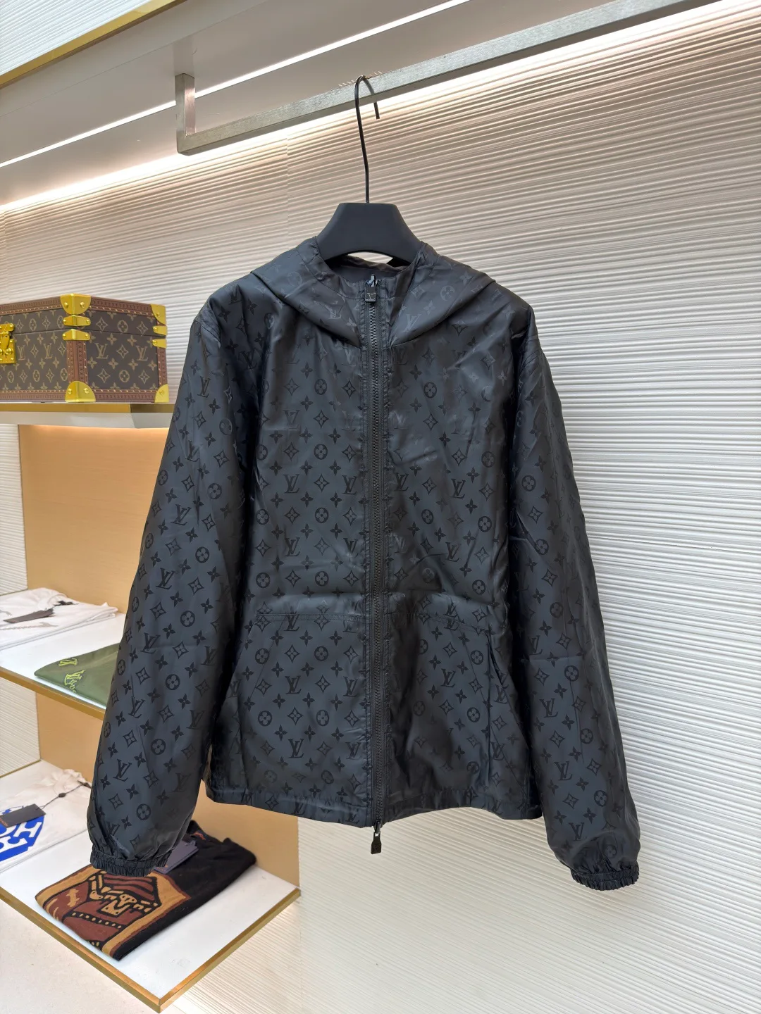 Куртки И Пуховики Мужские Louis Vuitton 11781079