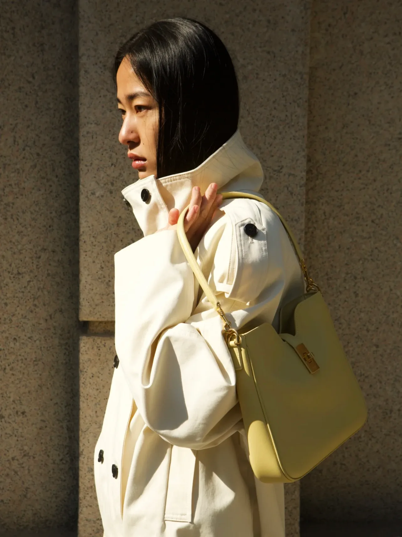 Классические Сумки Женские Celine 33340