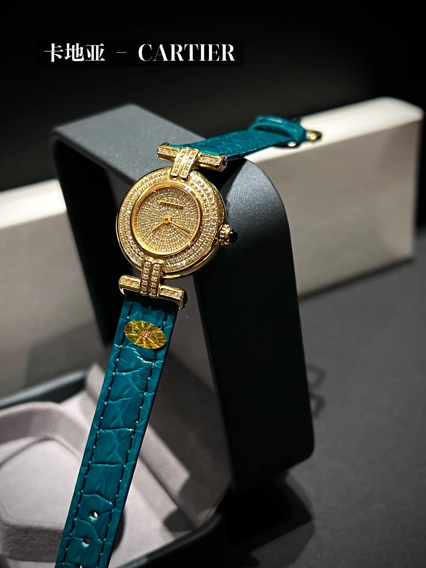 Часы Женские Cartier 5564914