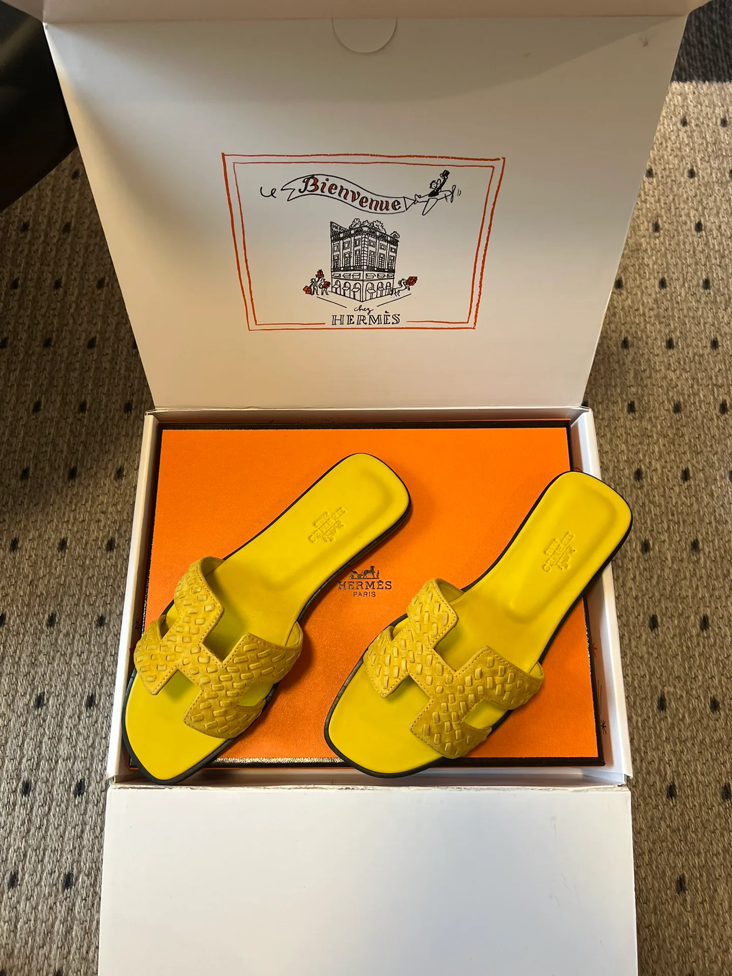 Шлепанцы Женские Hermes 10209526