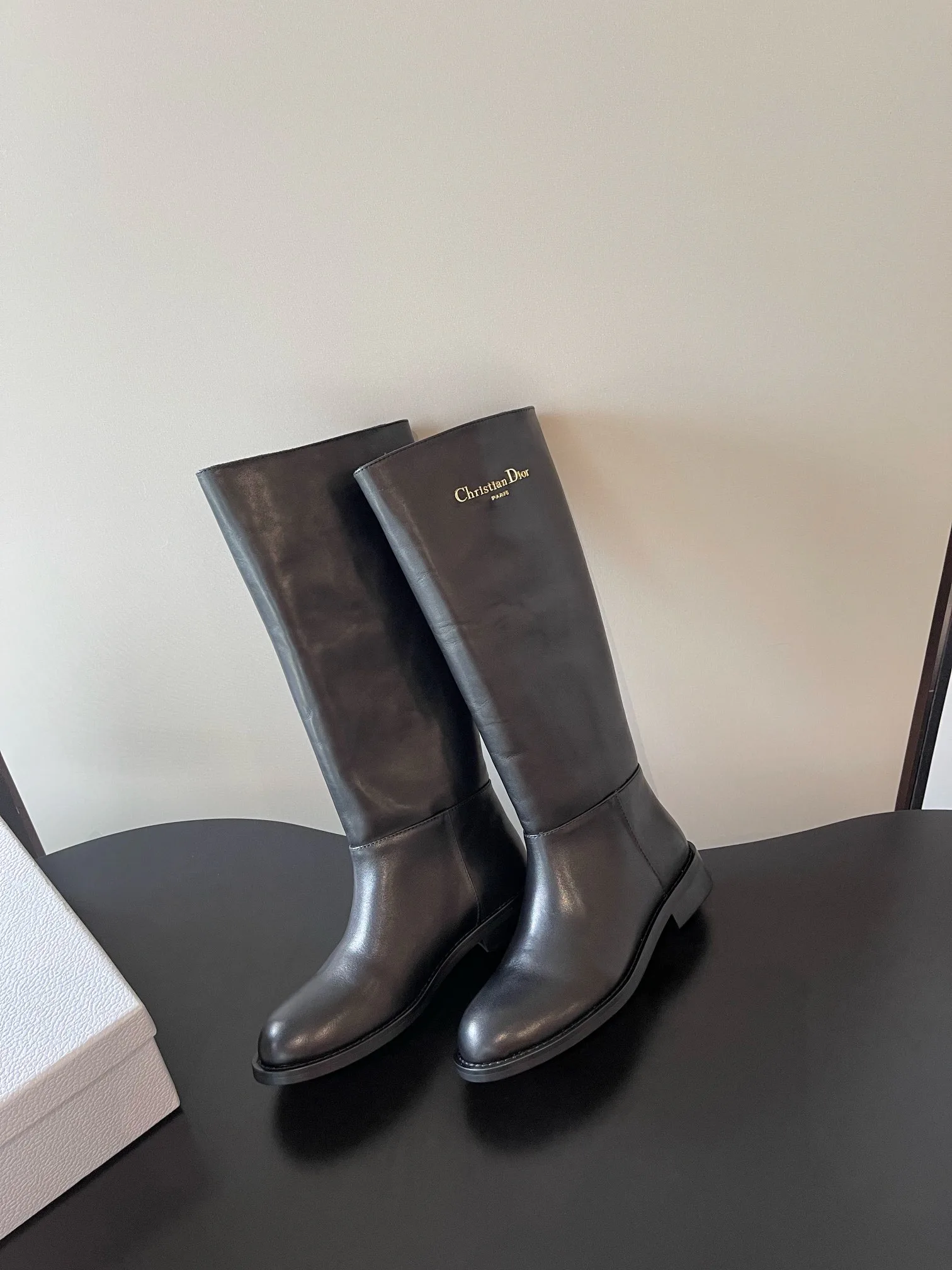 Сапоги Женские Christian Dior 1523289