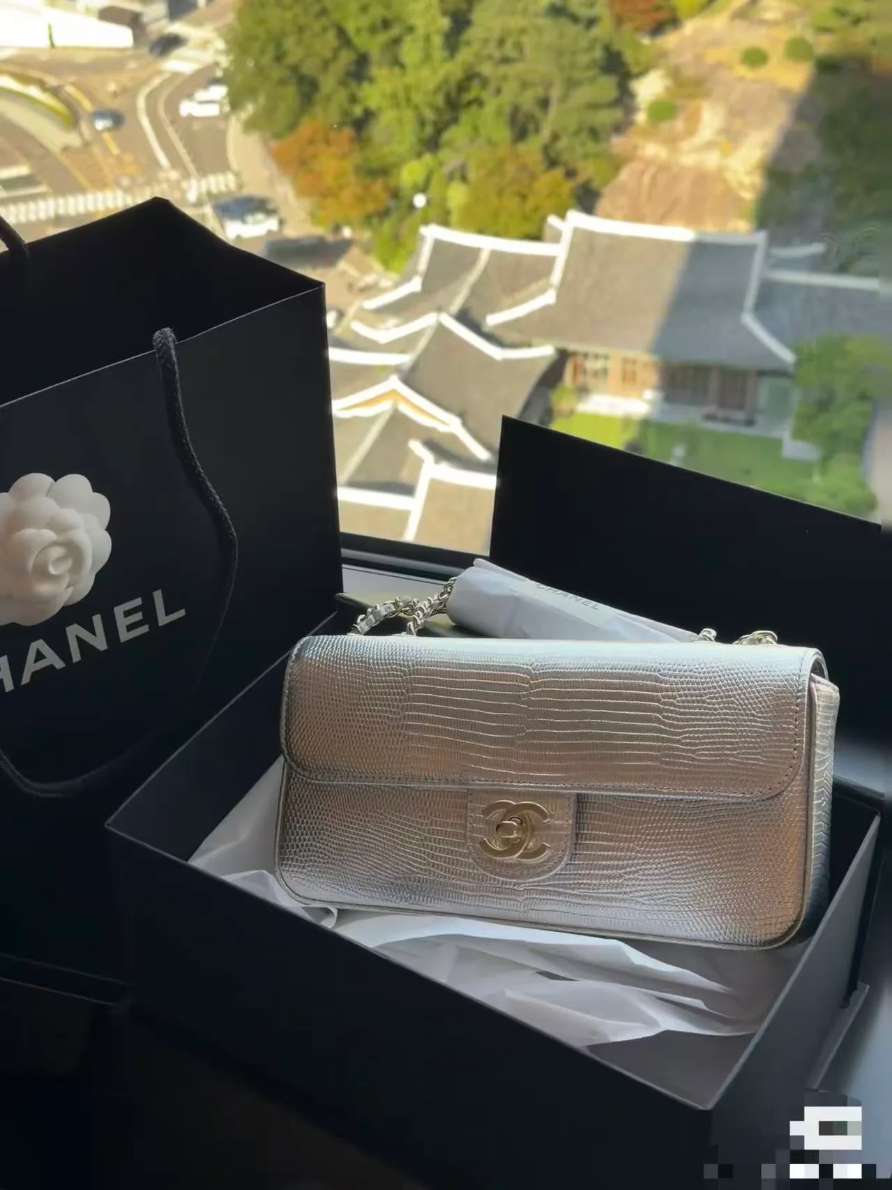 Классические Сумки Женские Chanel 18238949