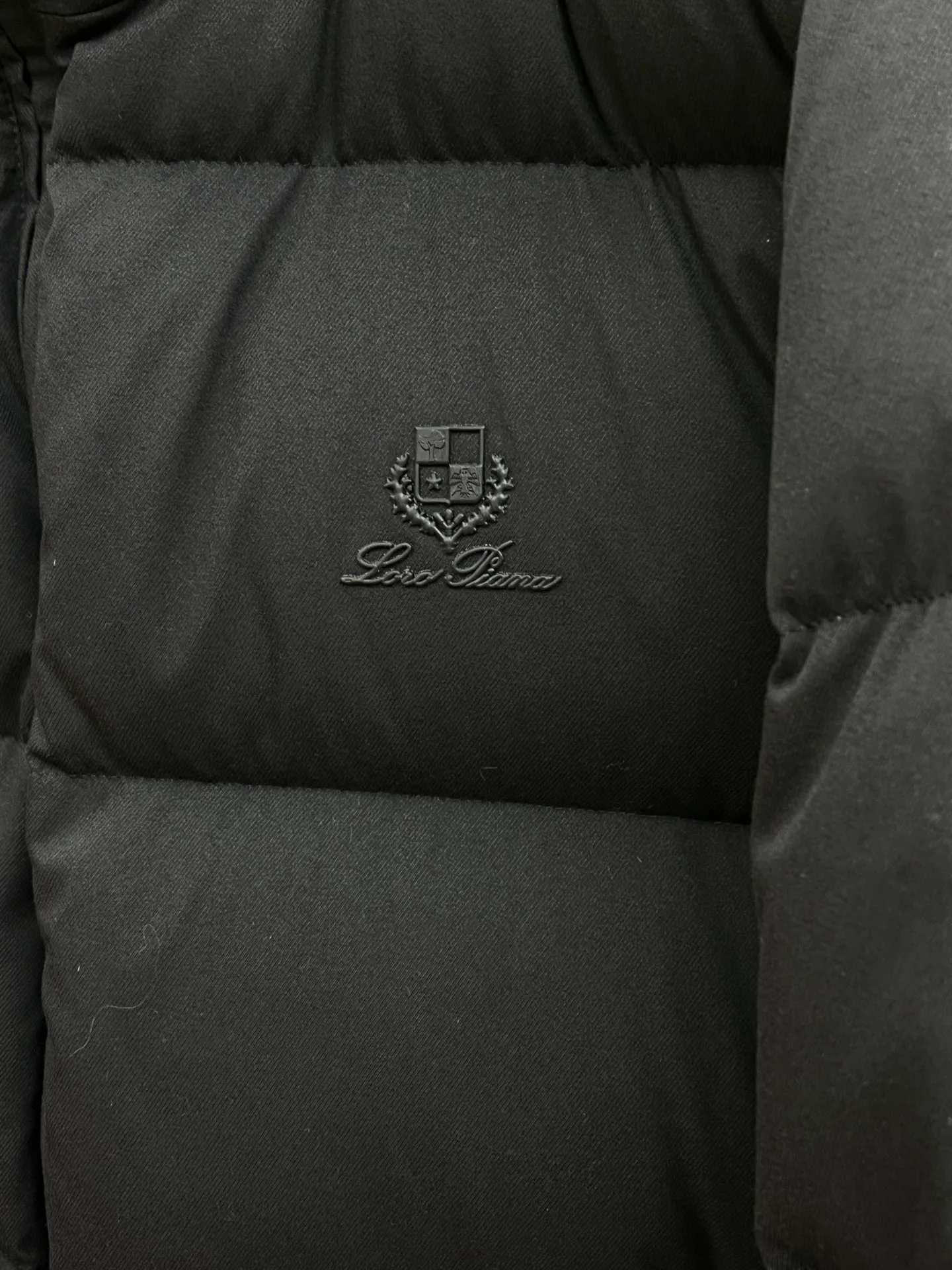 Куртки И Пуховики Мужские Loro Piana 444324